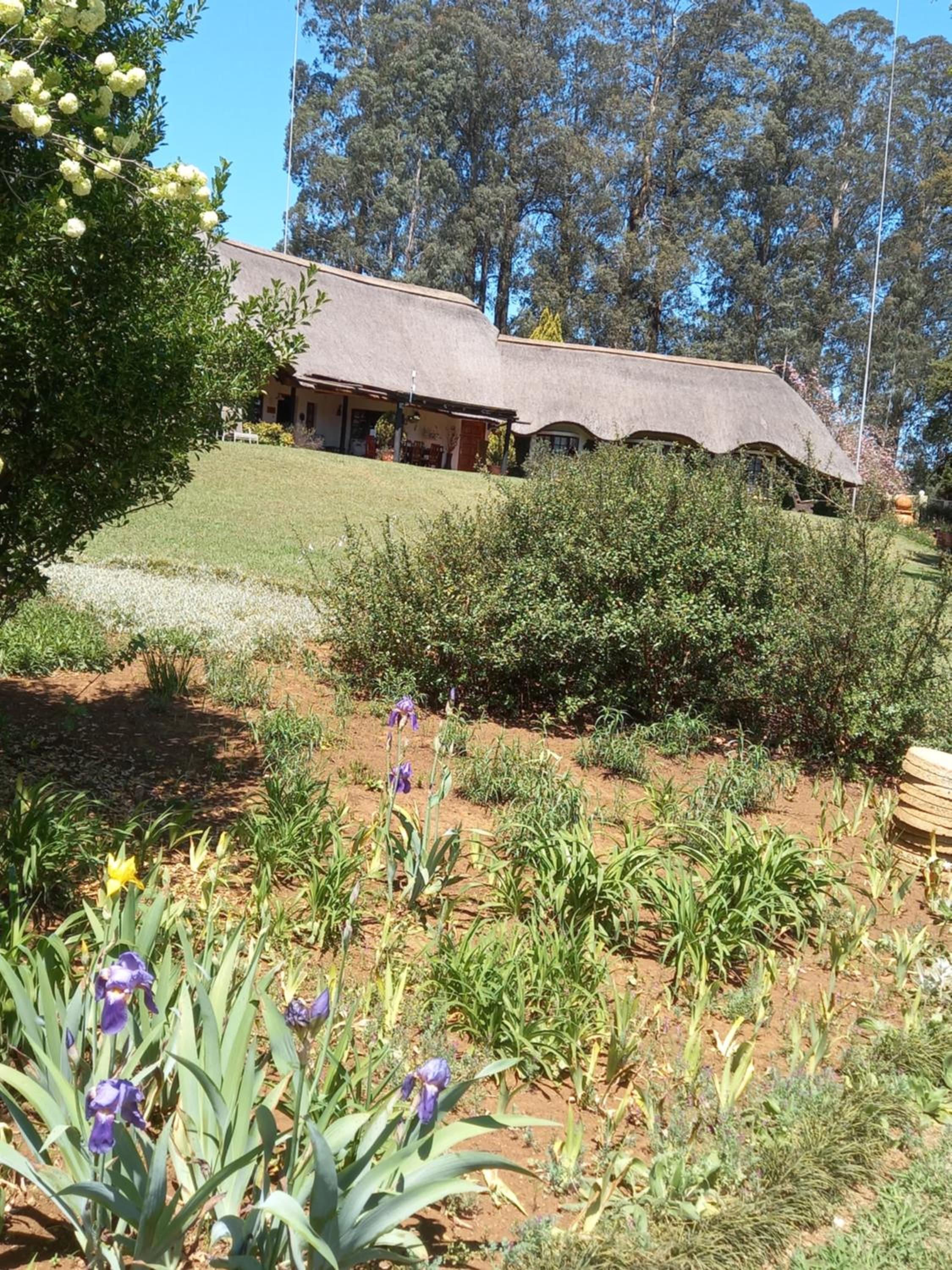 Photo 8