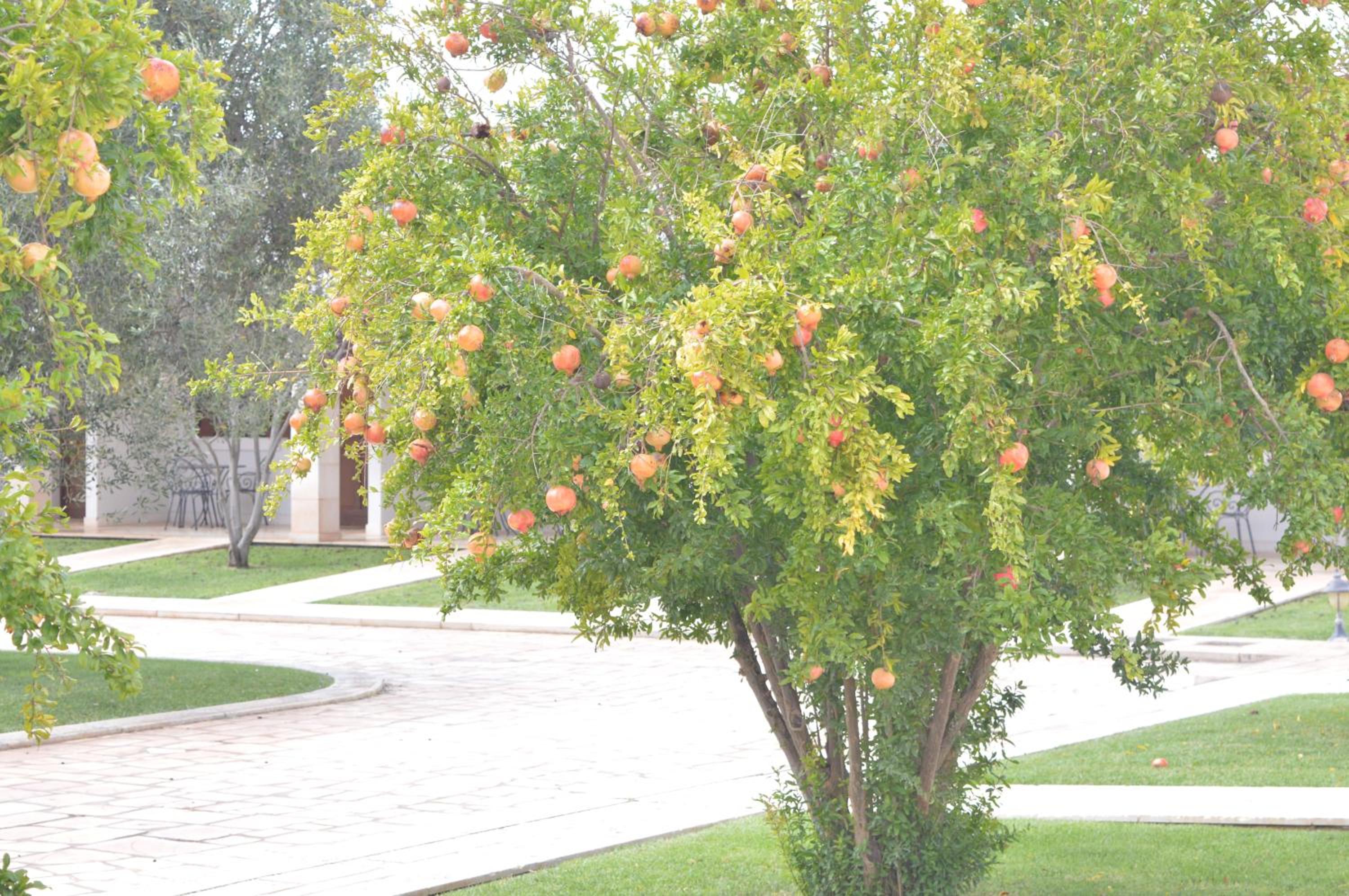 Photo 26