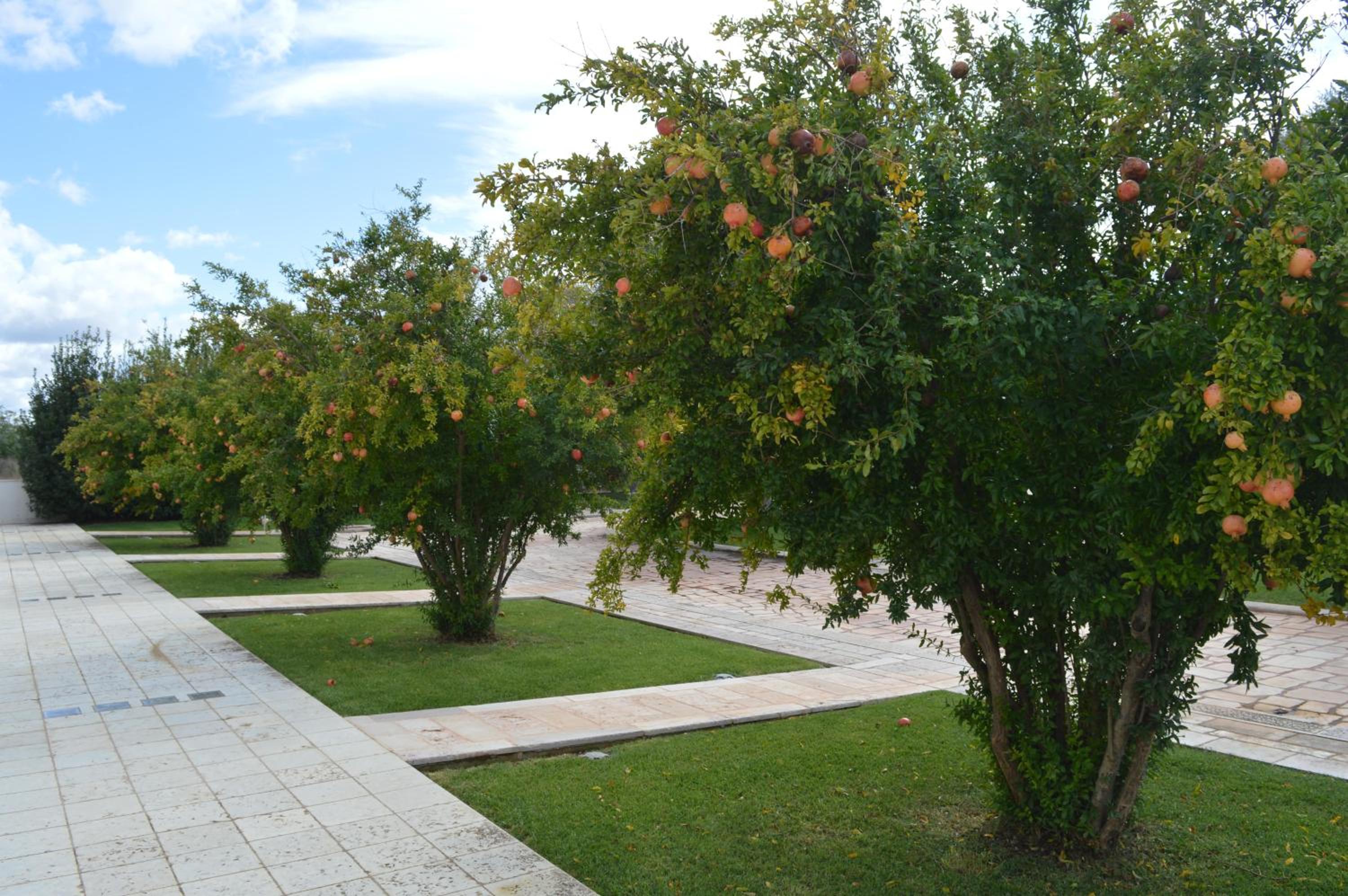 Photo 53