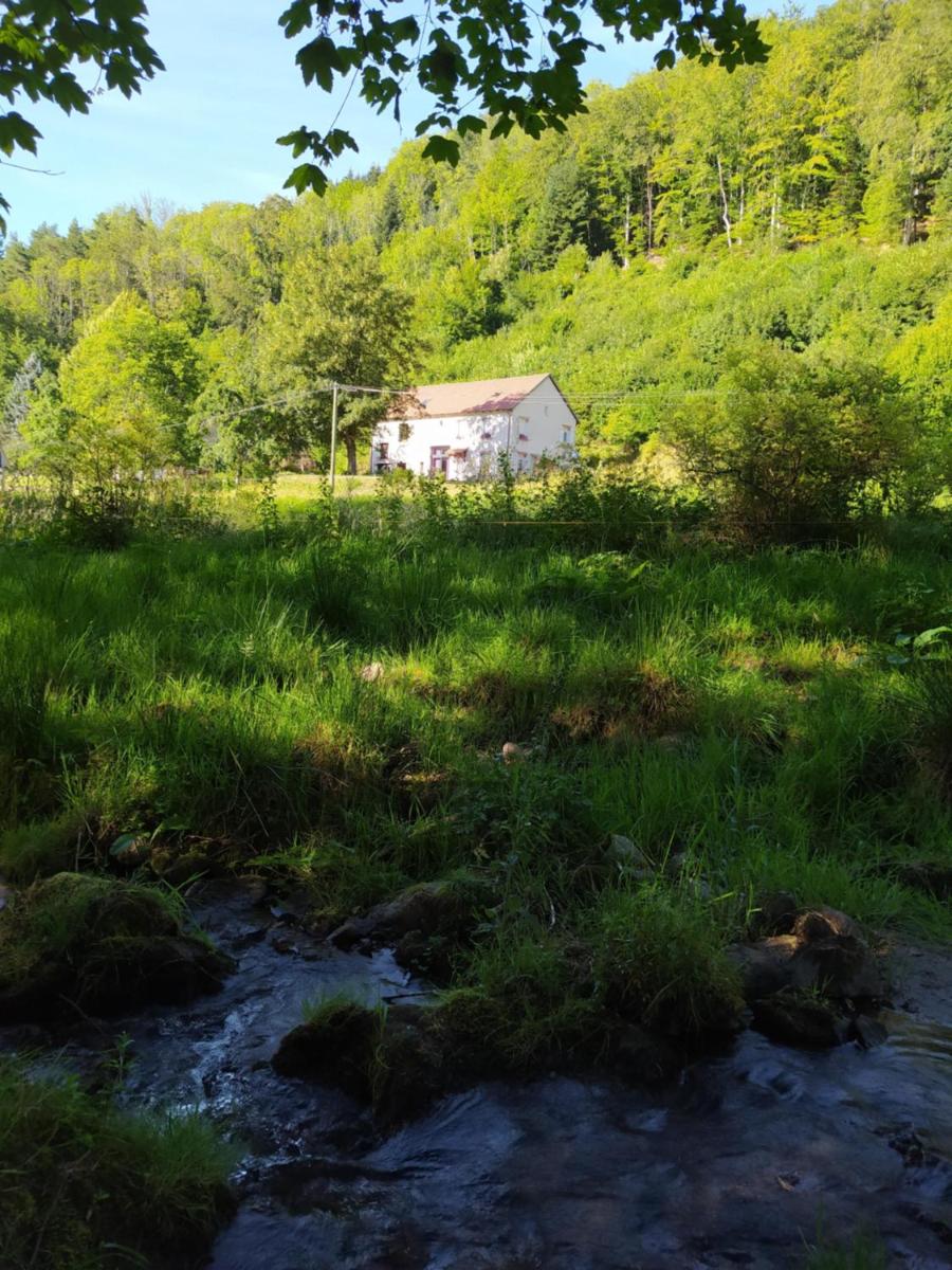 La mansarde aux digitales view 3