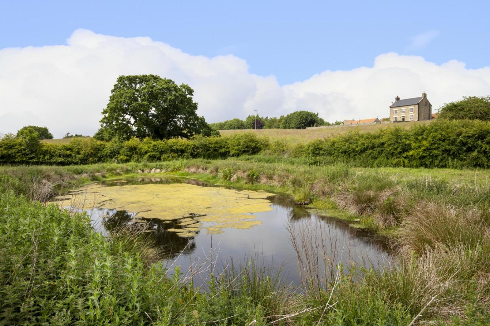 Thirley Cotes Farm Cottages