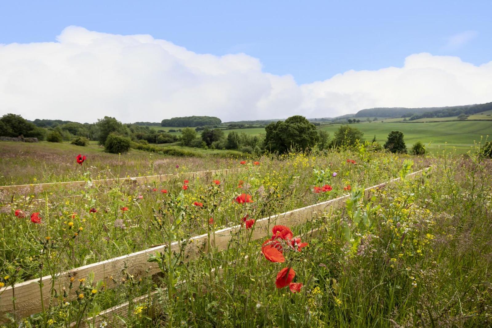 Thirley Cotes Farm Cottages