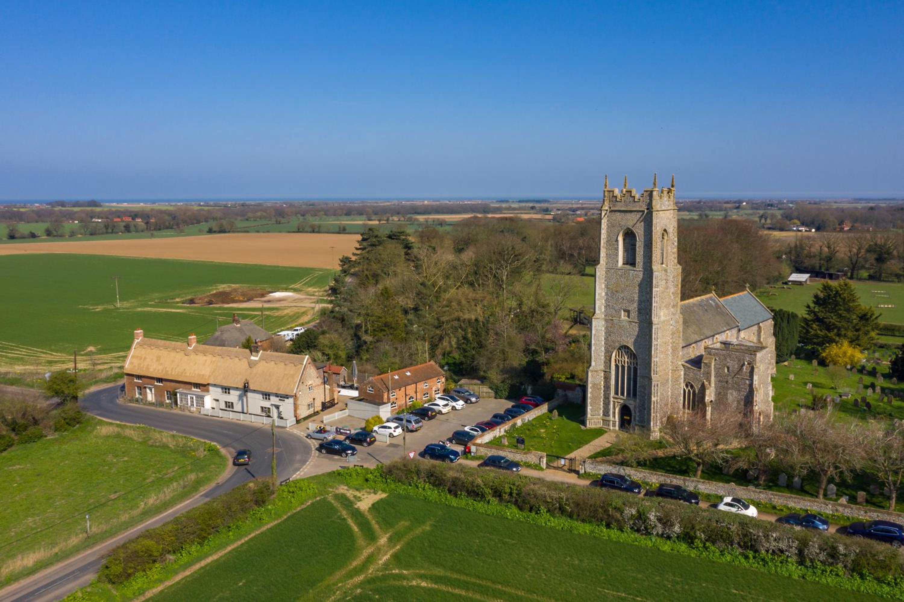 The Ingham Swan