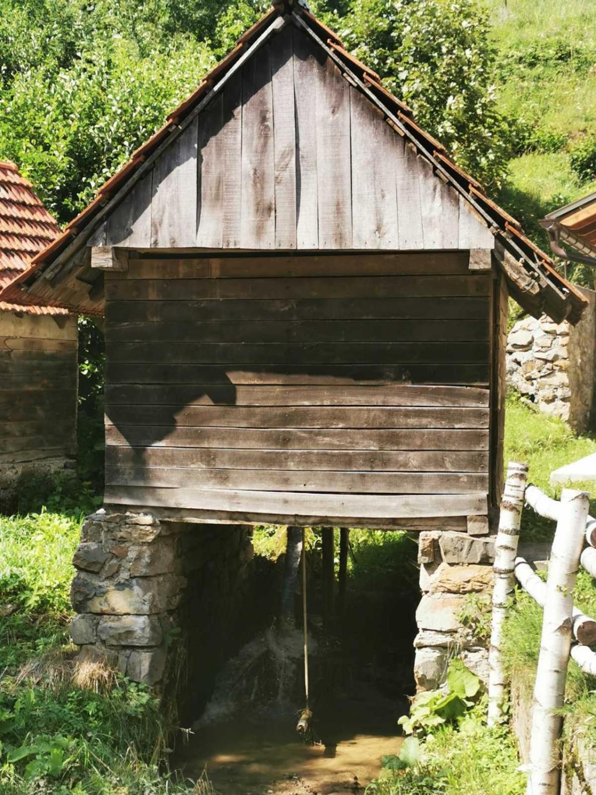 Photo 40
