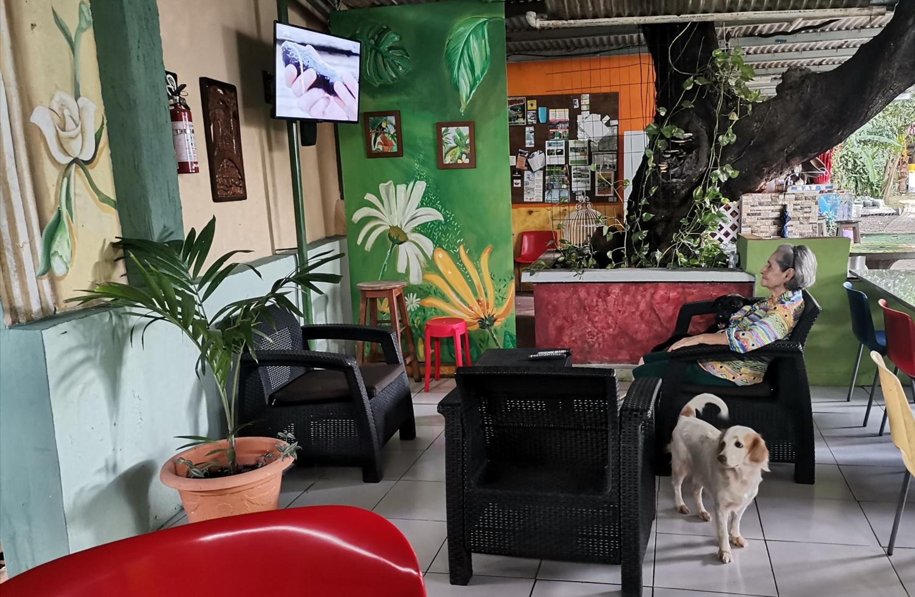 lounge