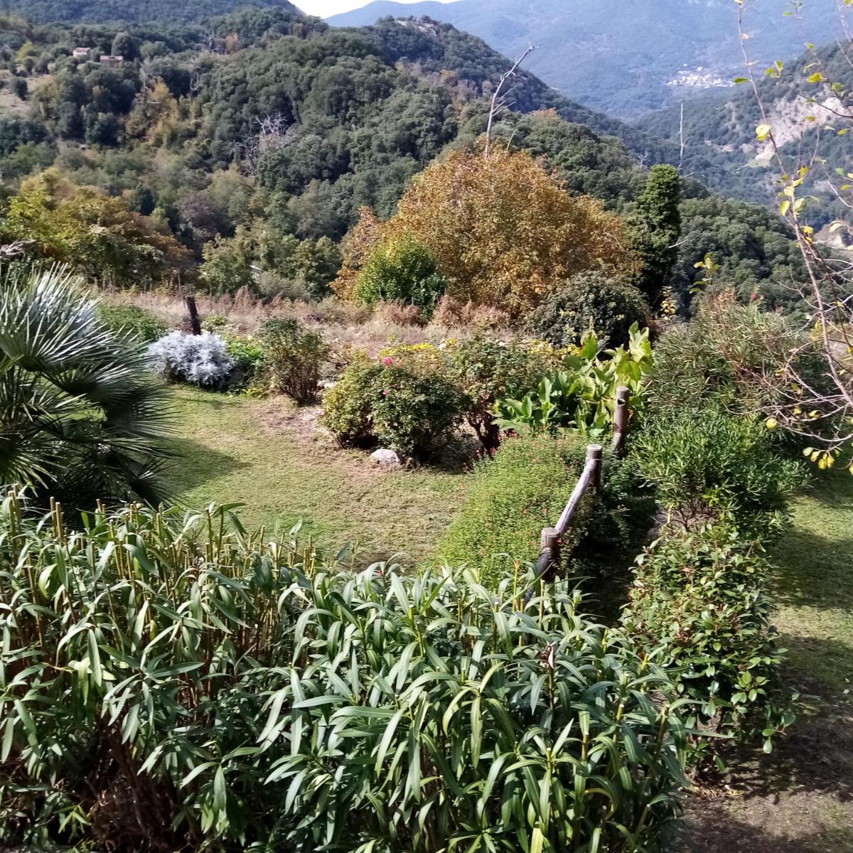les chalets et gite du haut taravo view 4