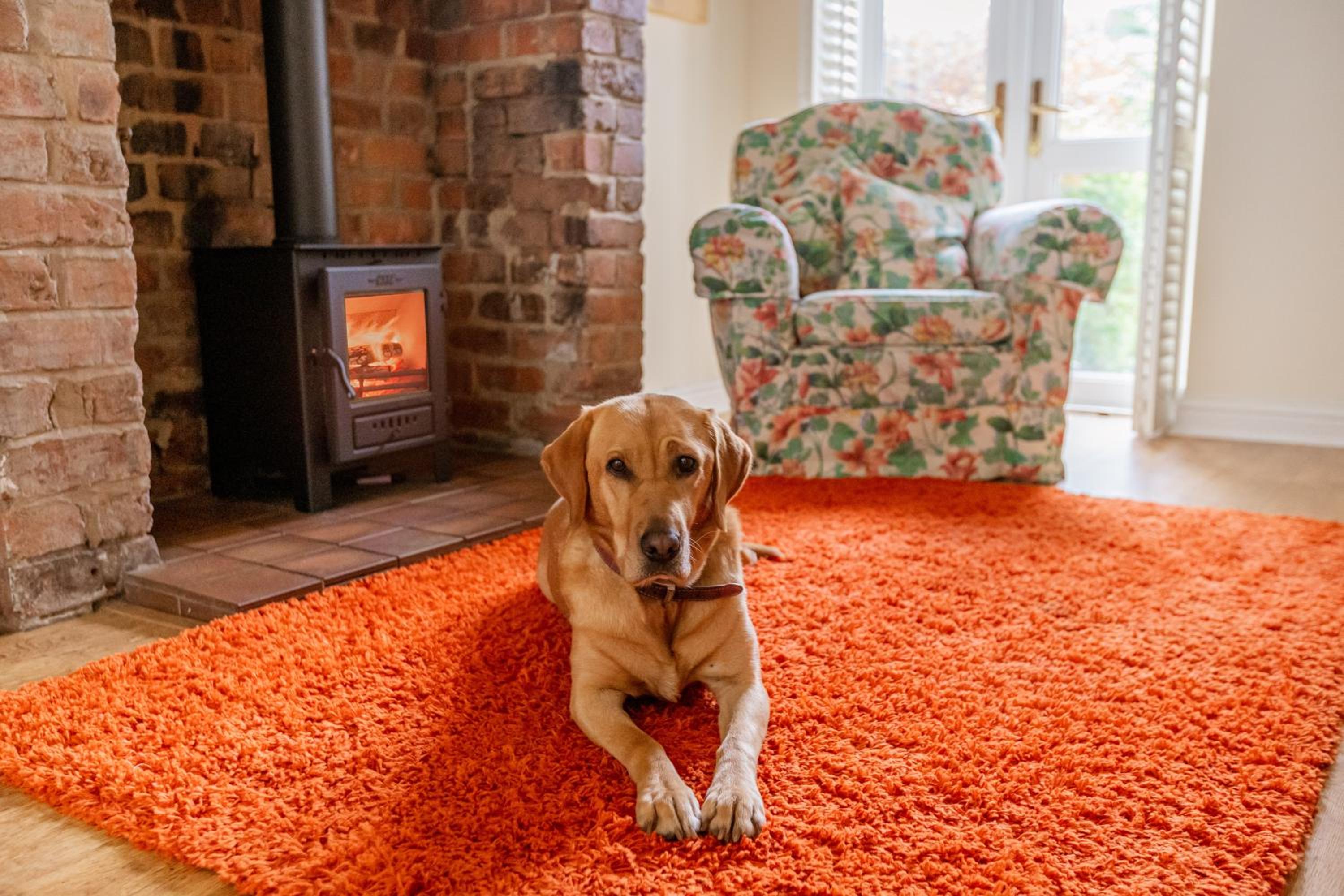 Strayside Cottage Harrogate - cosy dog friendly cottage sleeps 4. 5 mins walk to hospital and 15 mins walk to town centre view 3