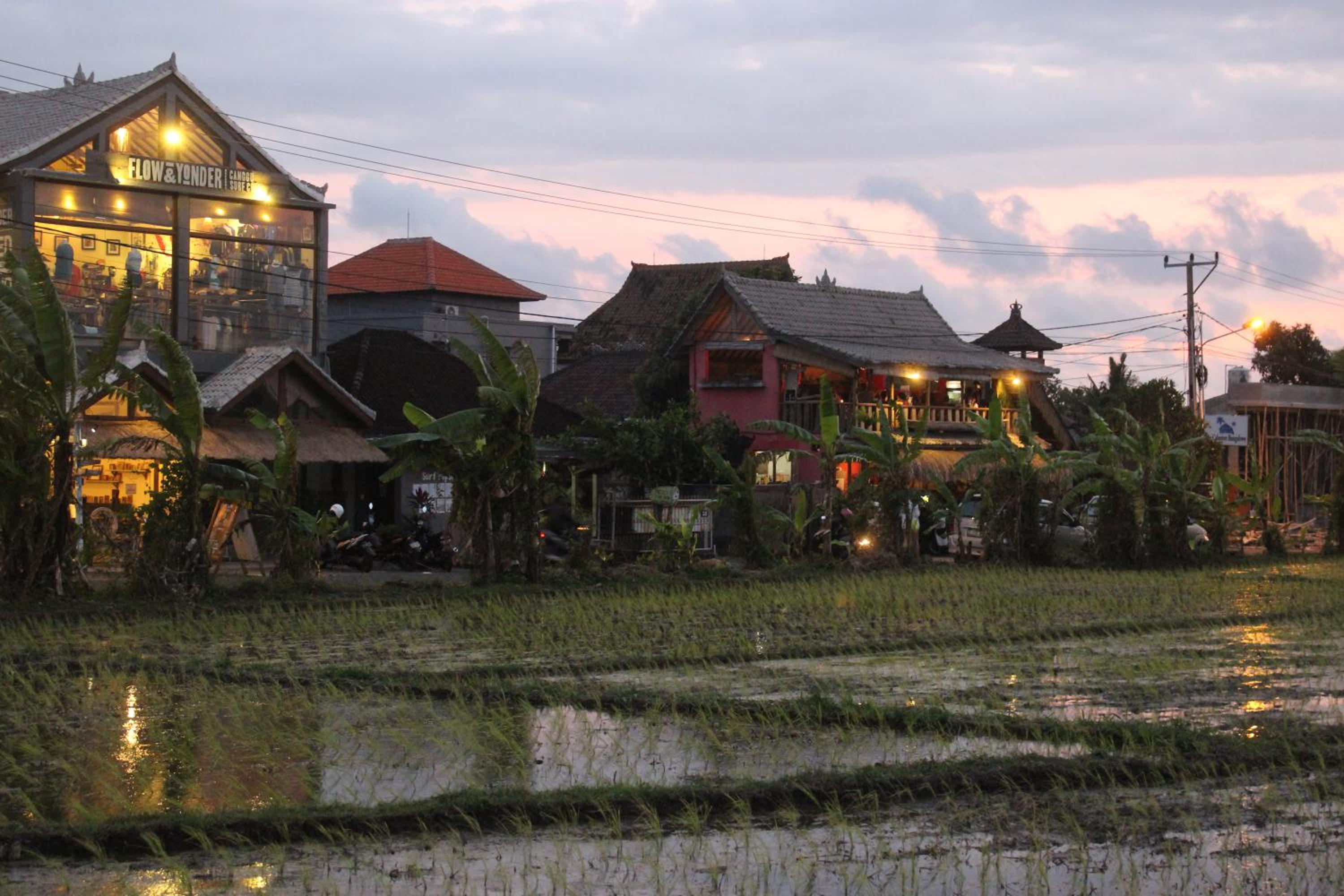 The Calmtree Bungalows