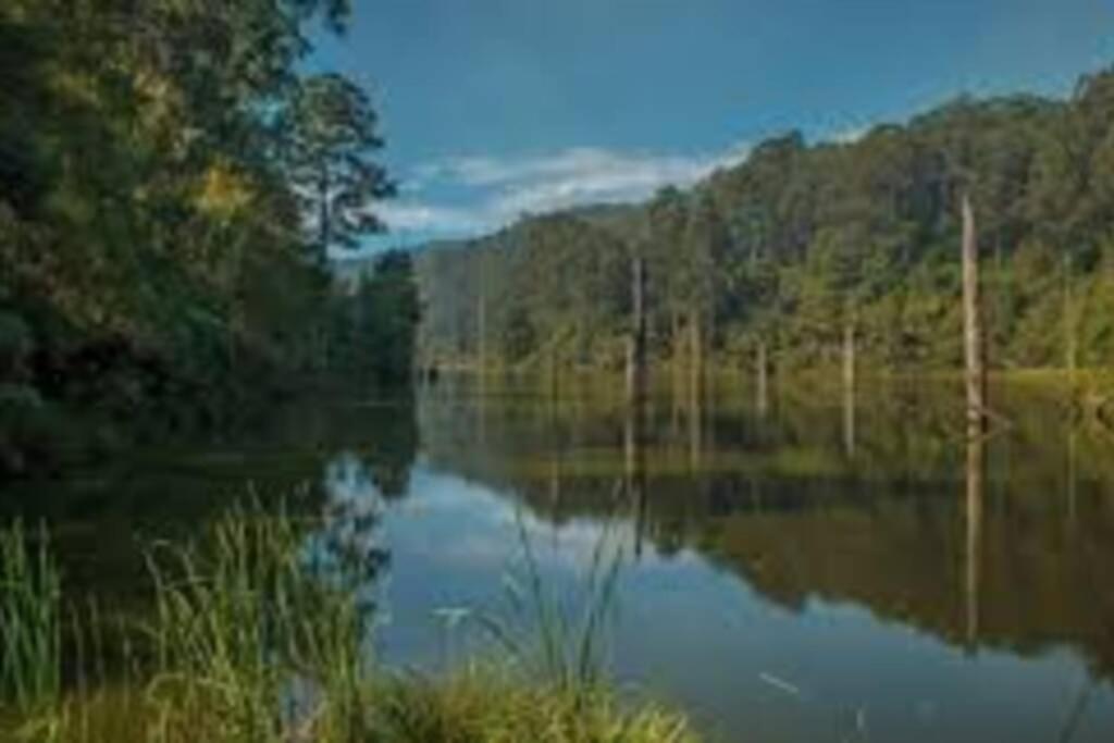 The Otway Nest