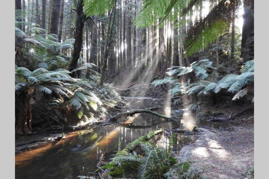 The Otway Nest