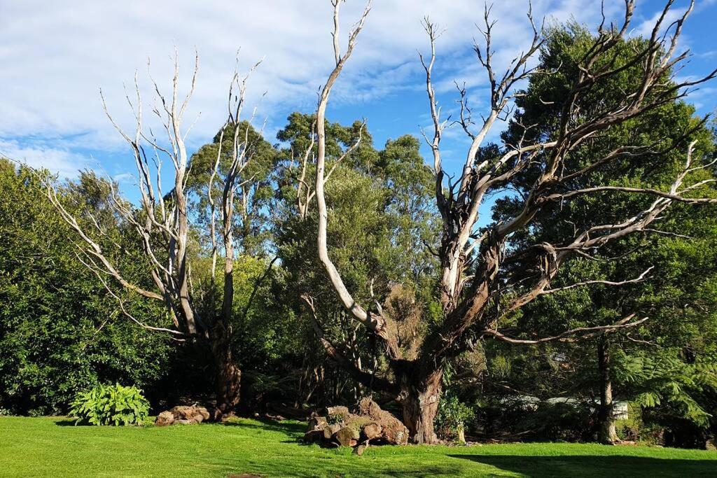 The Otway Nest