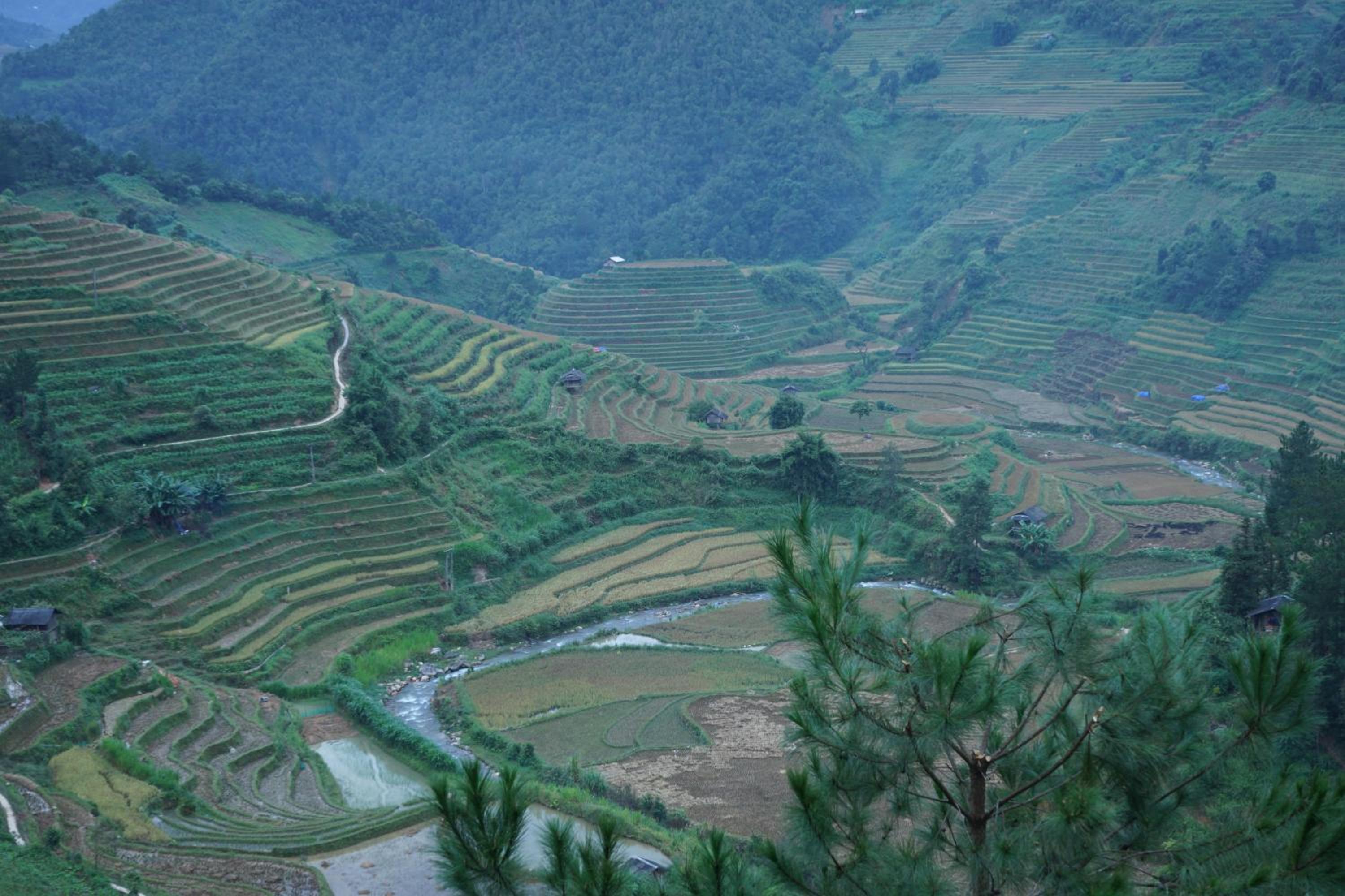 Hello Mu Cang Chai Homestay & Tours