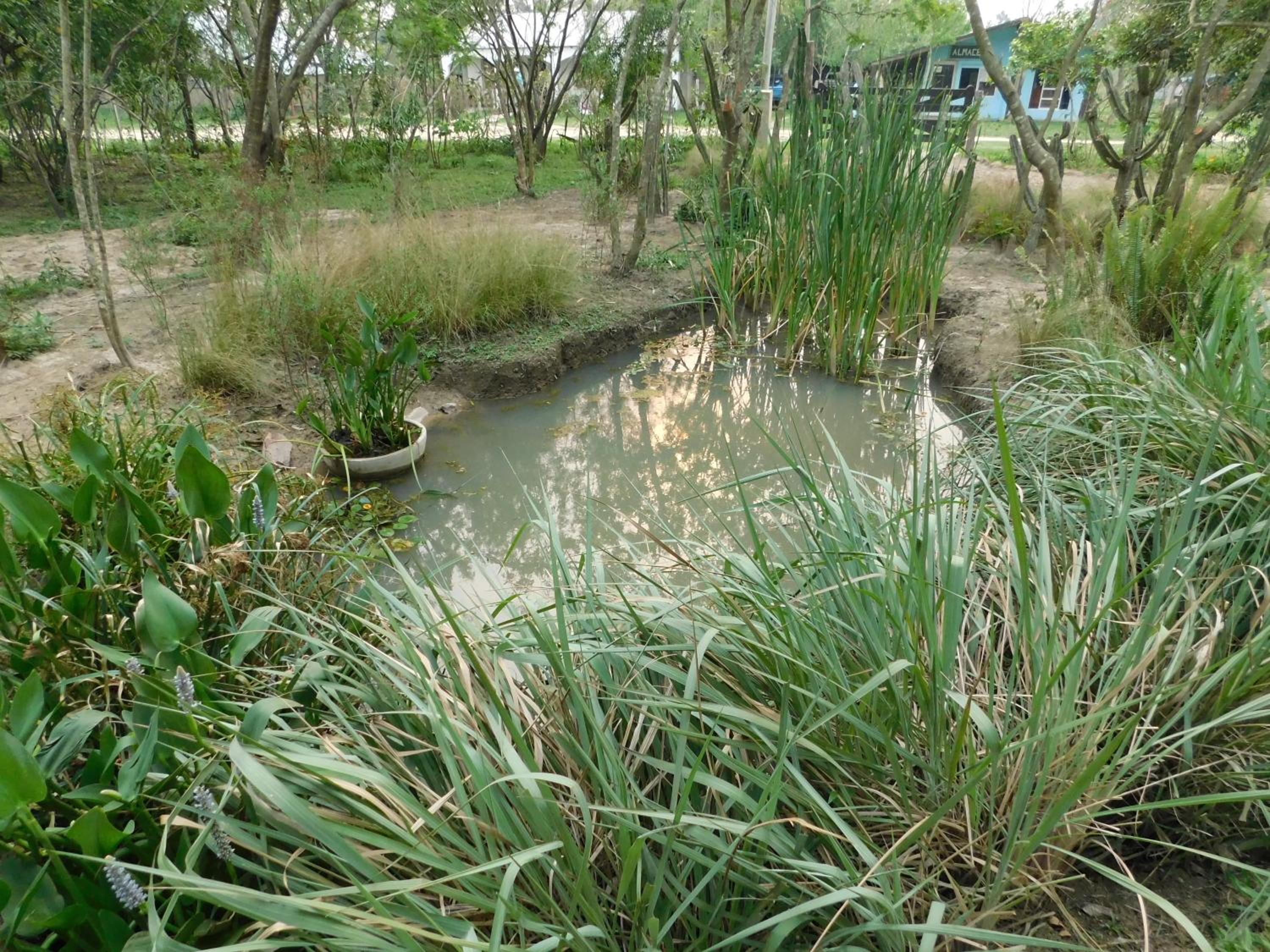 Arandu ecolodge