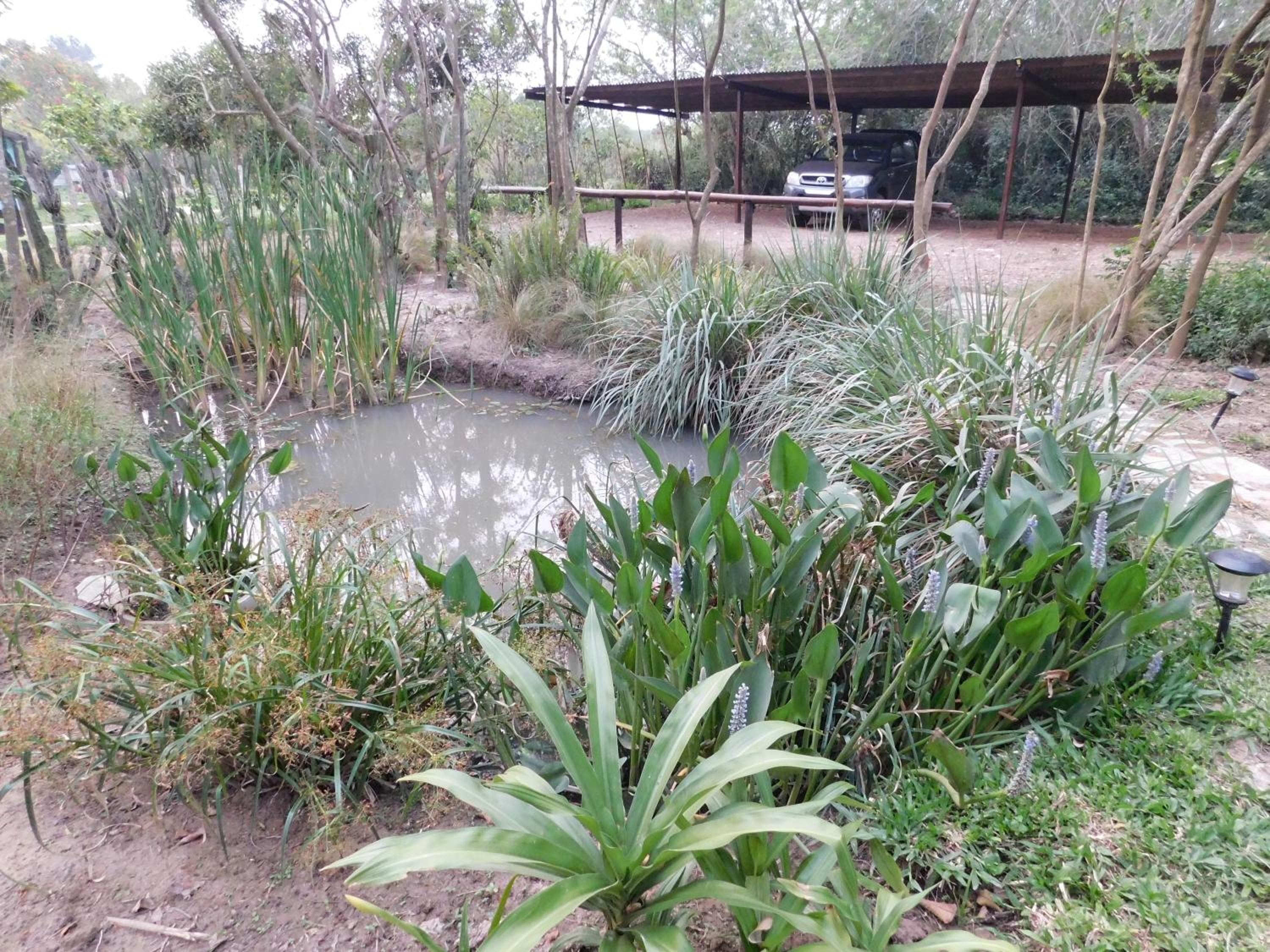 Arandu ecolodge