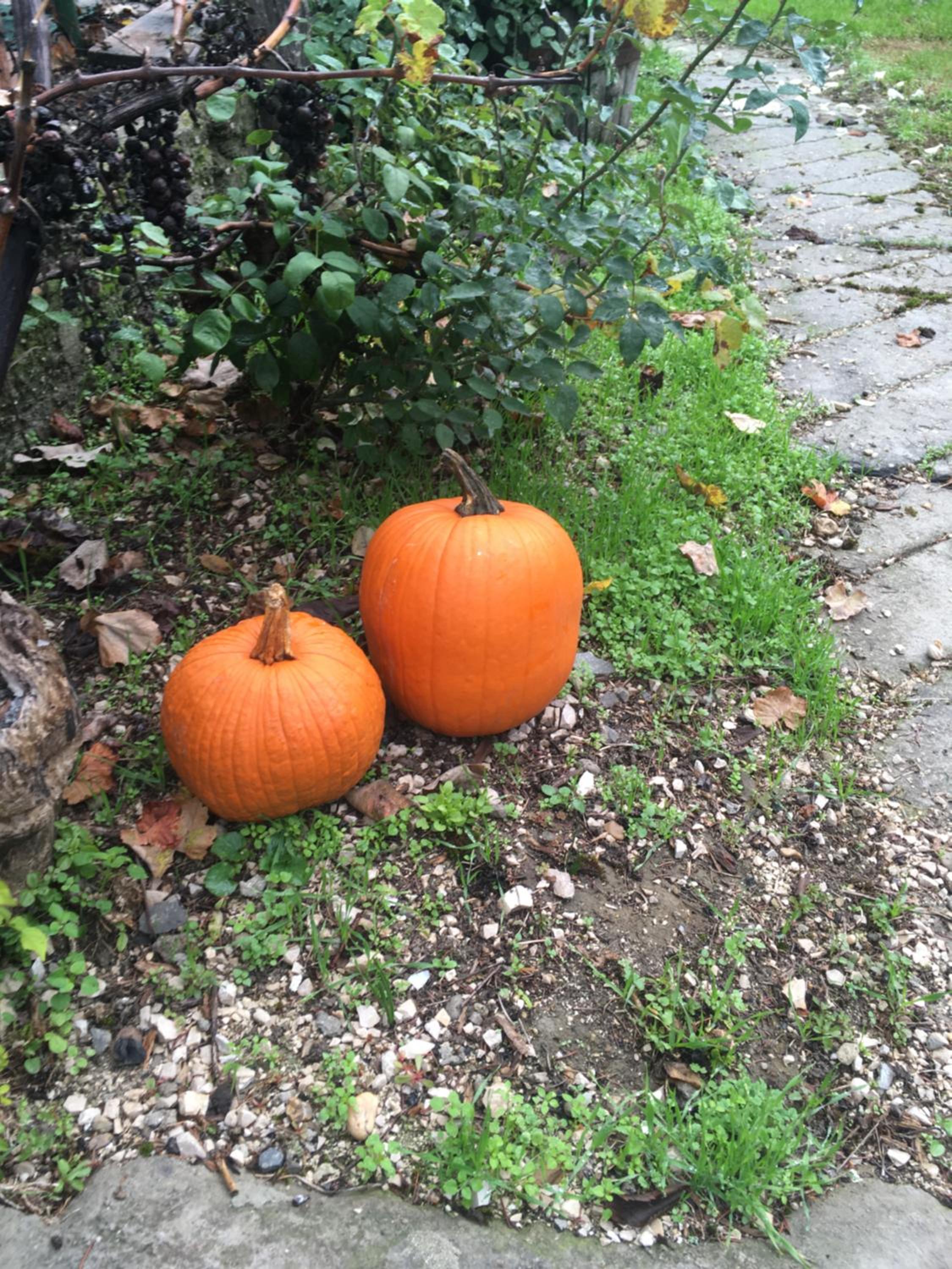 Photo 21