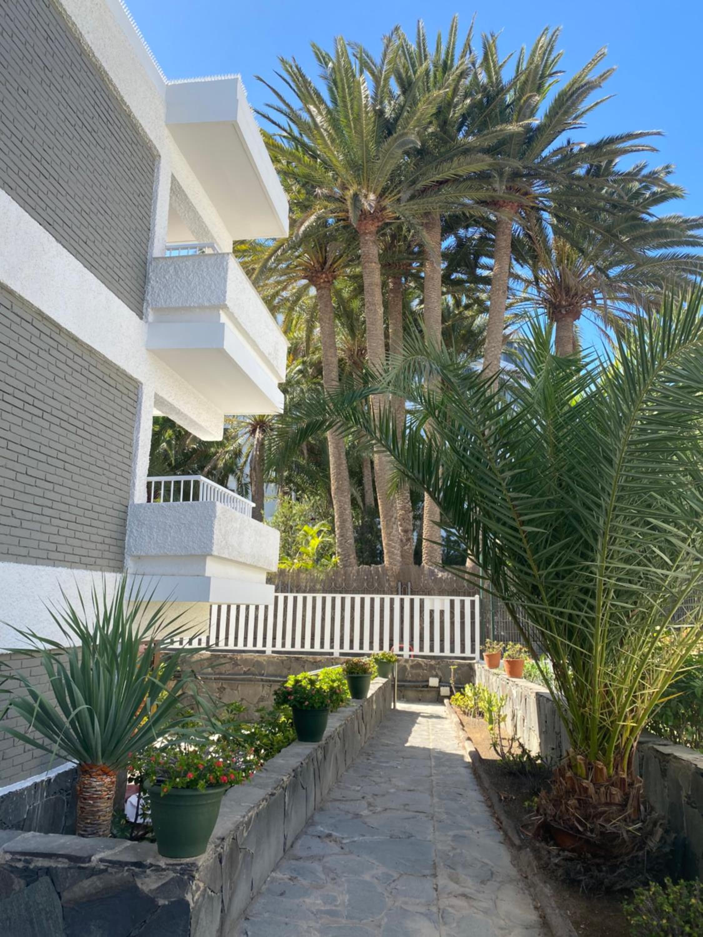 Oasis Playa Maspalomas