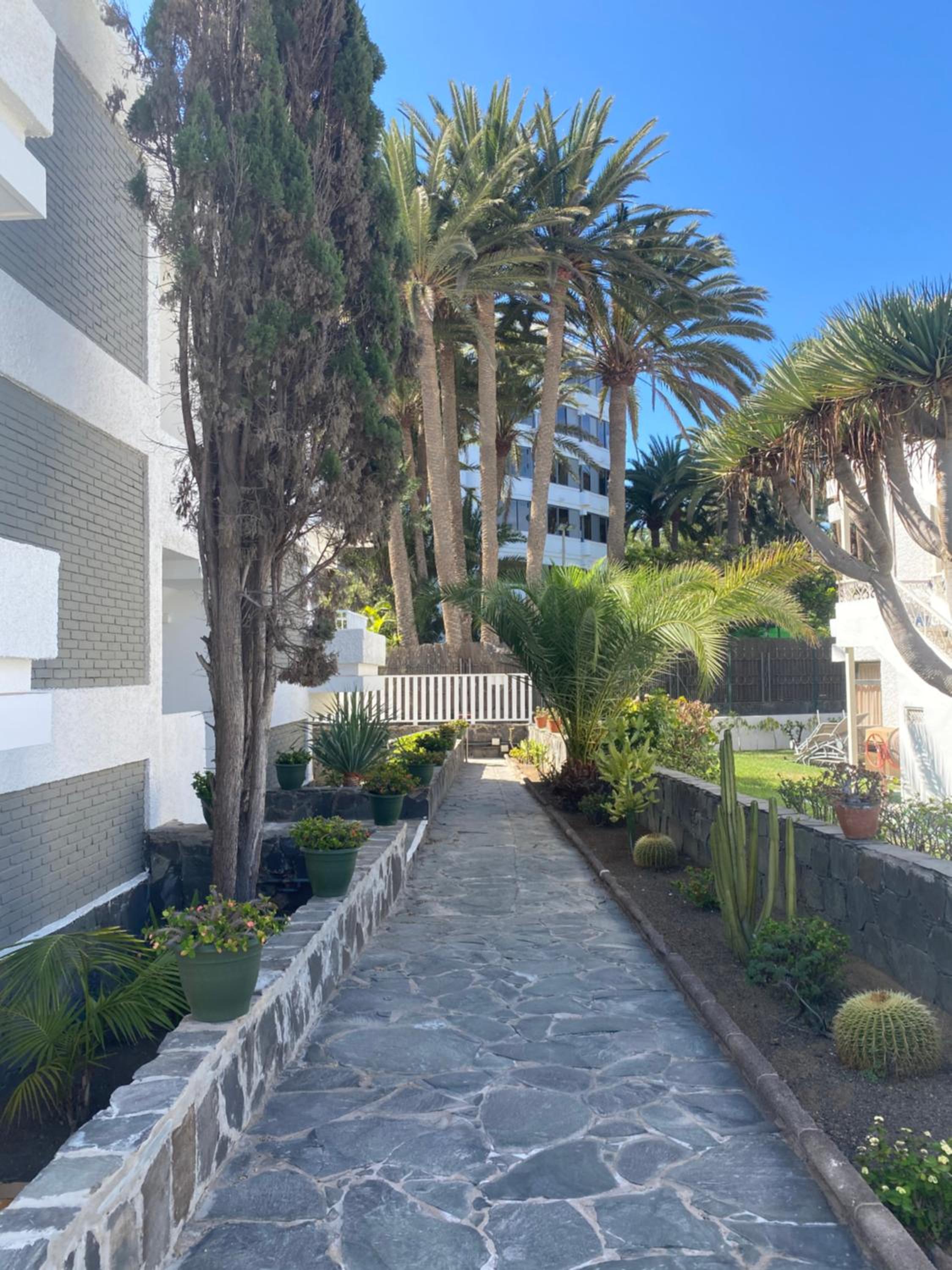 Oasis Playa Maspalomas