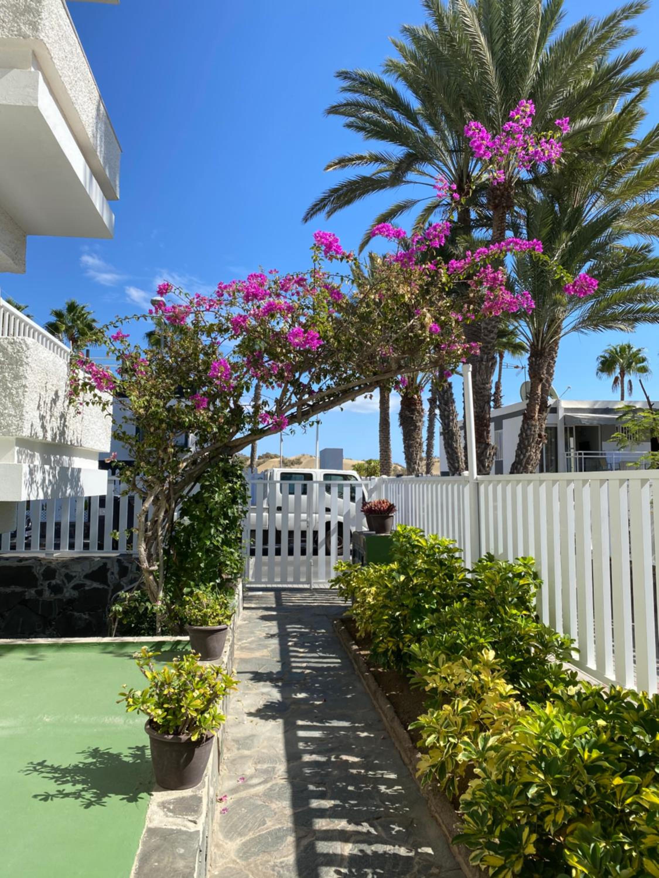 Oasis Playa Maspalomas