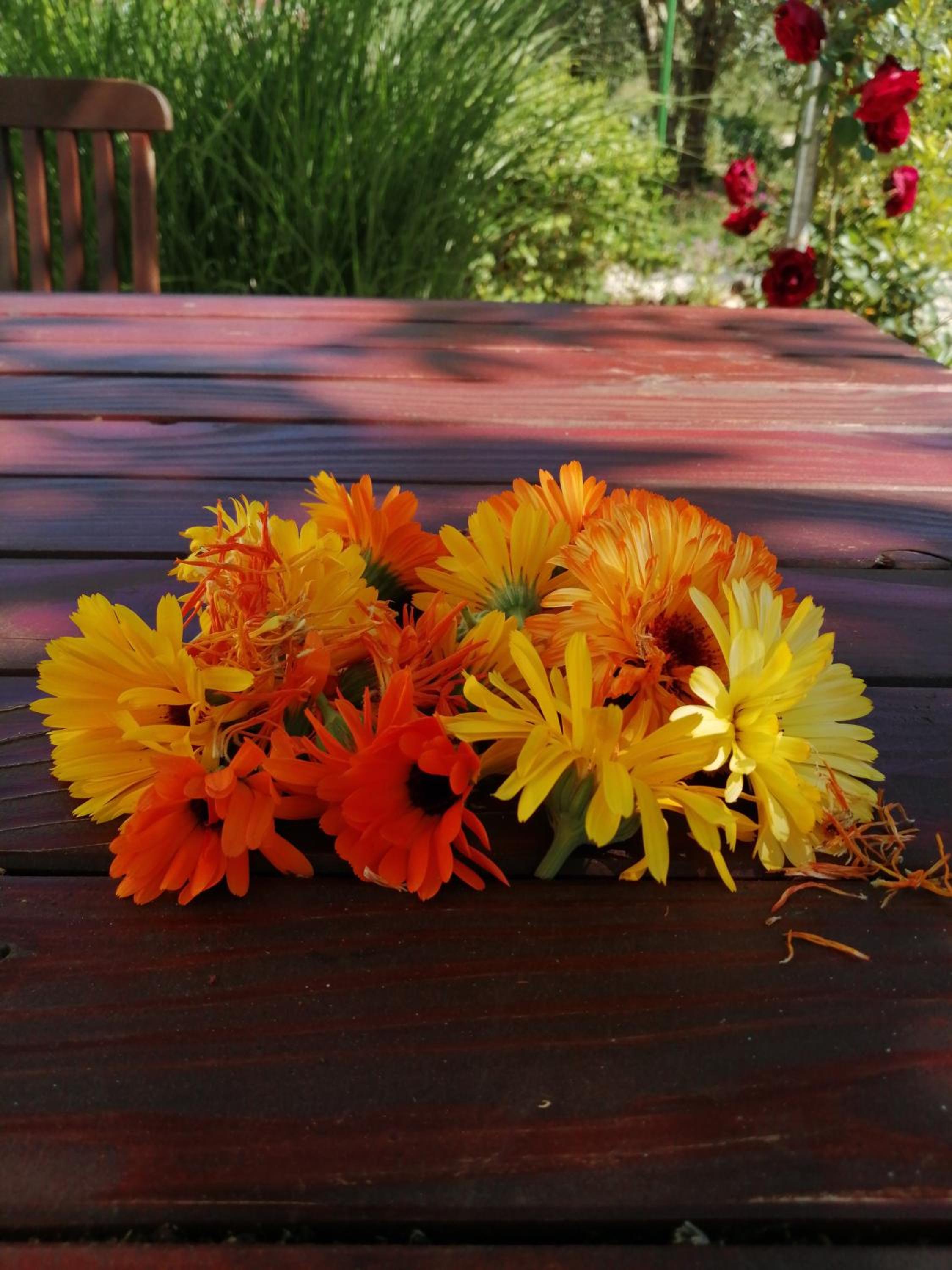 Photo 44