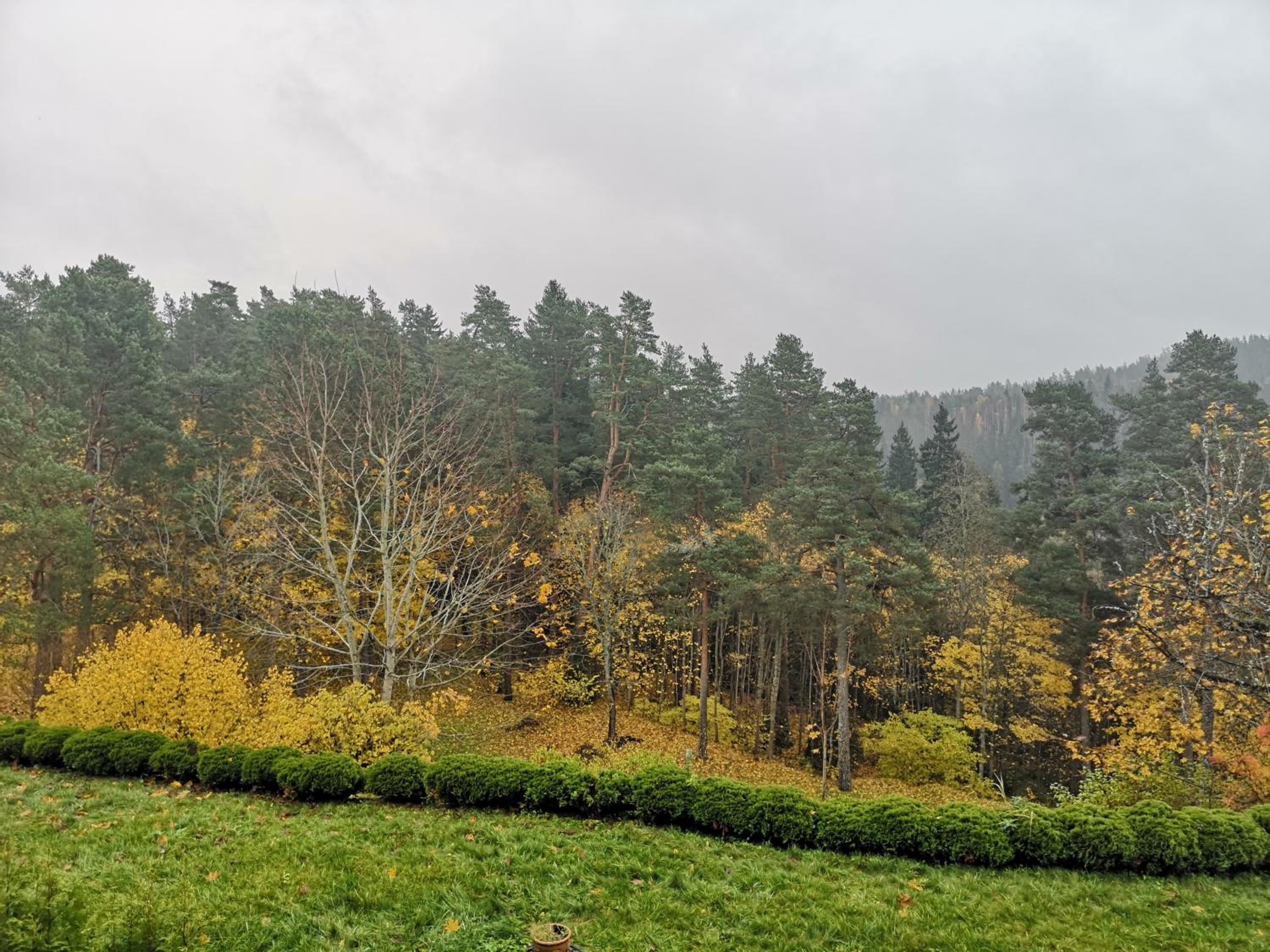 Photo 46