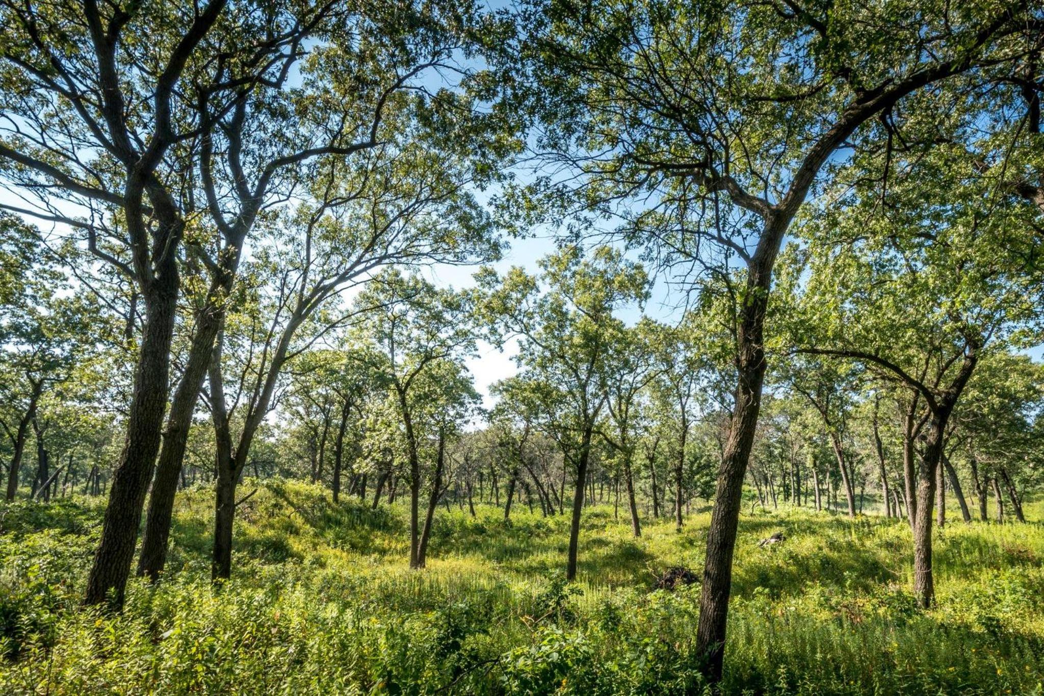 Secluded Fenced Cottage W Dune Top Hot Tub Near Hiking Dog Friendly view 2