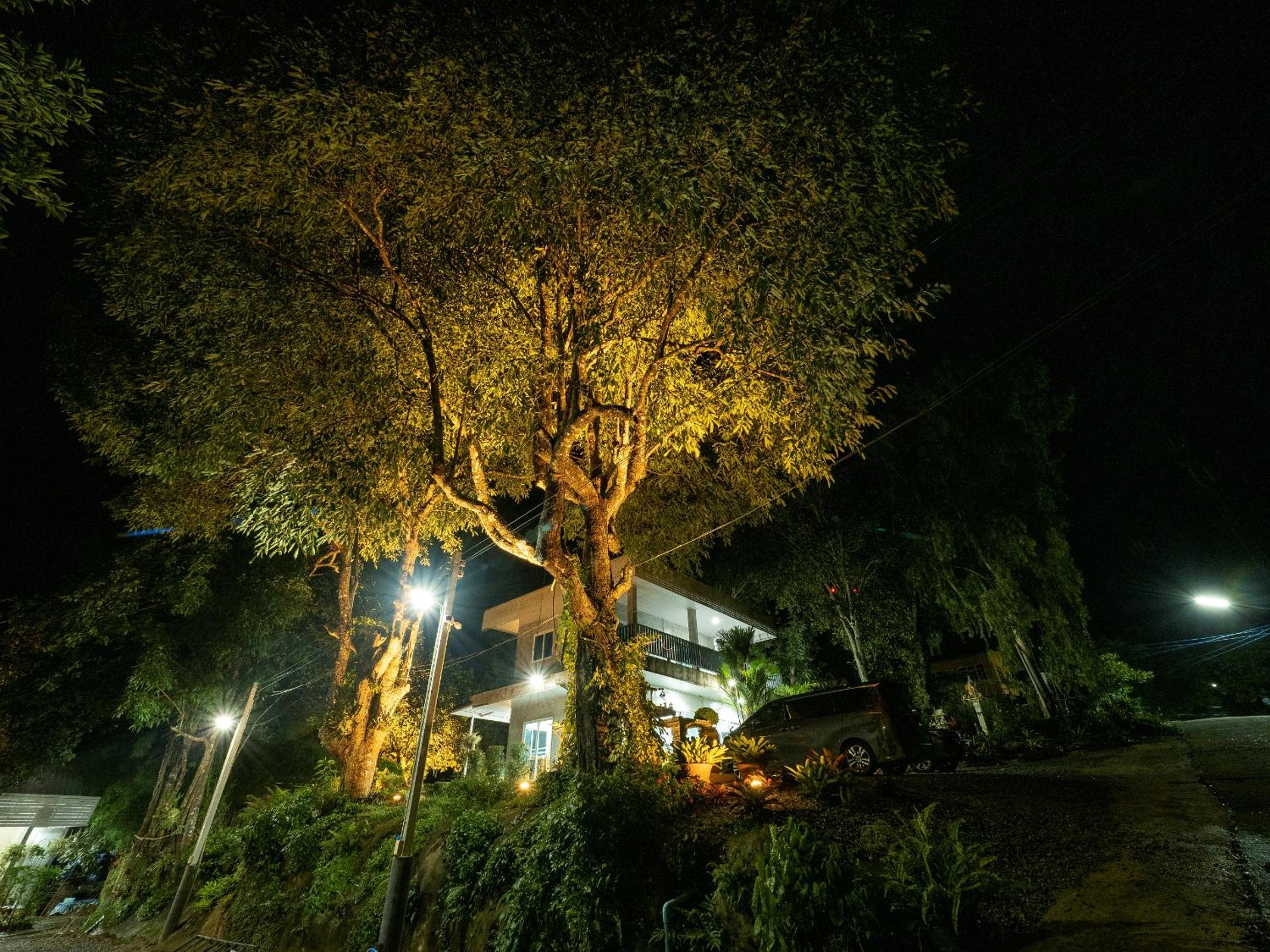 Photo 40