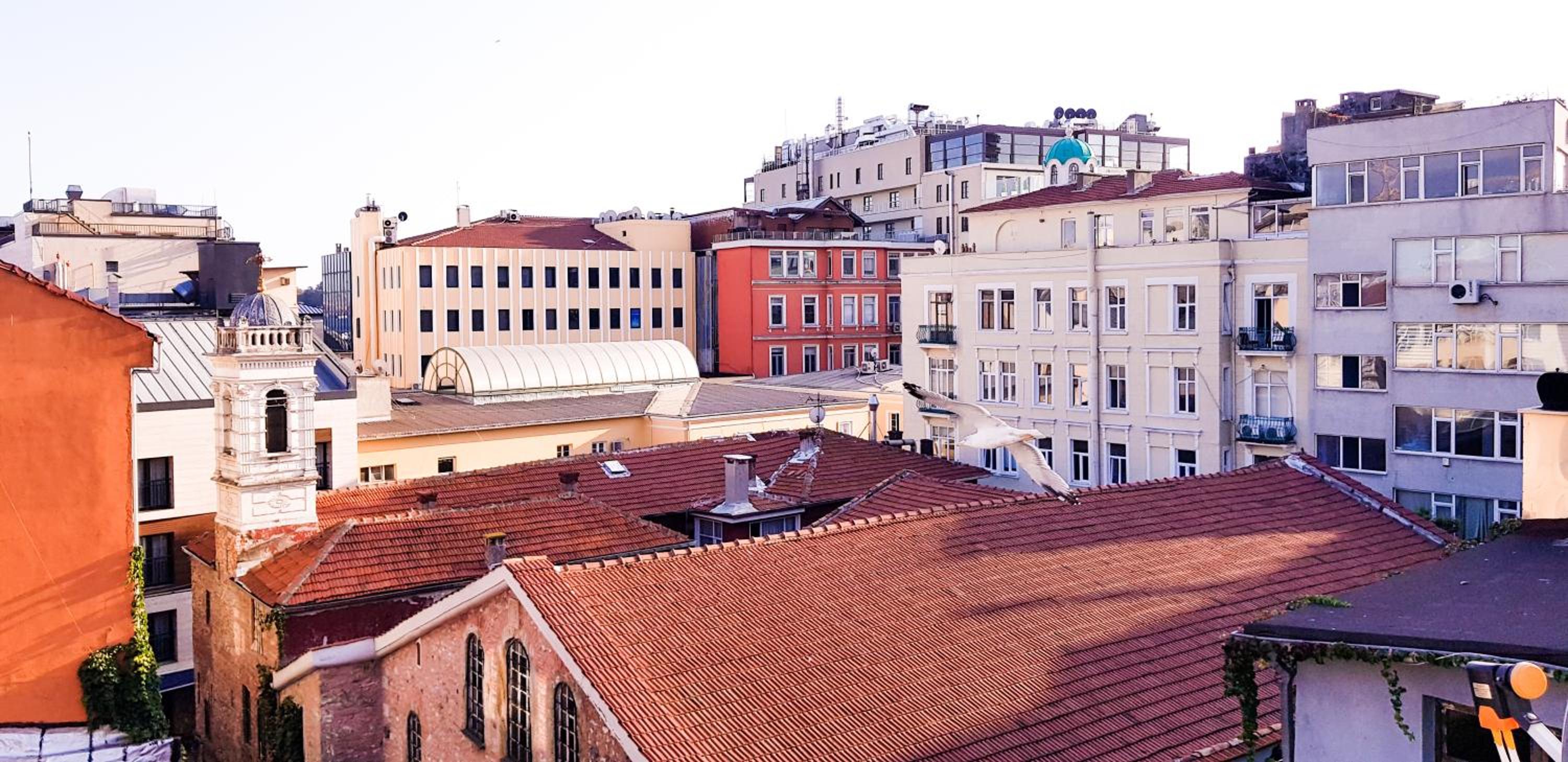 Casa Rosa Suites - Image 24