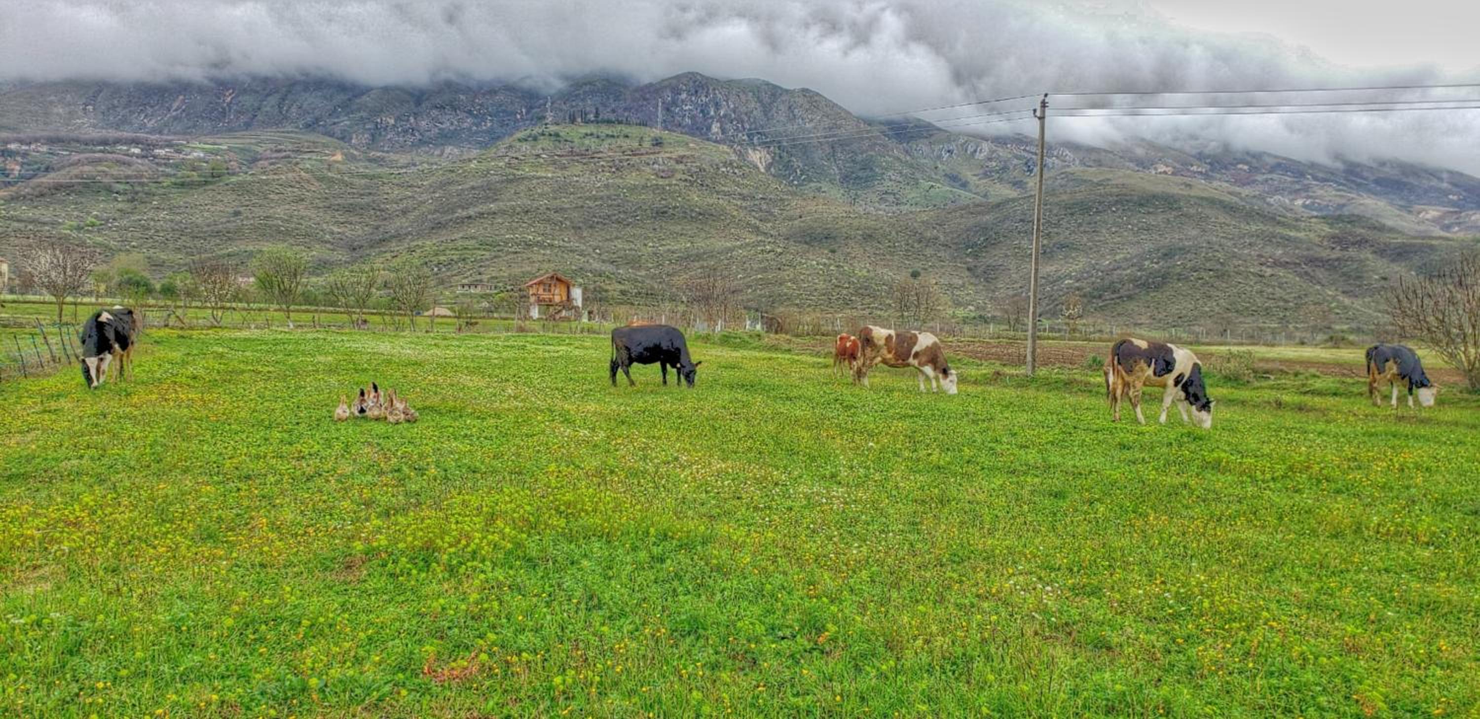 Life on the farm