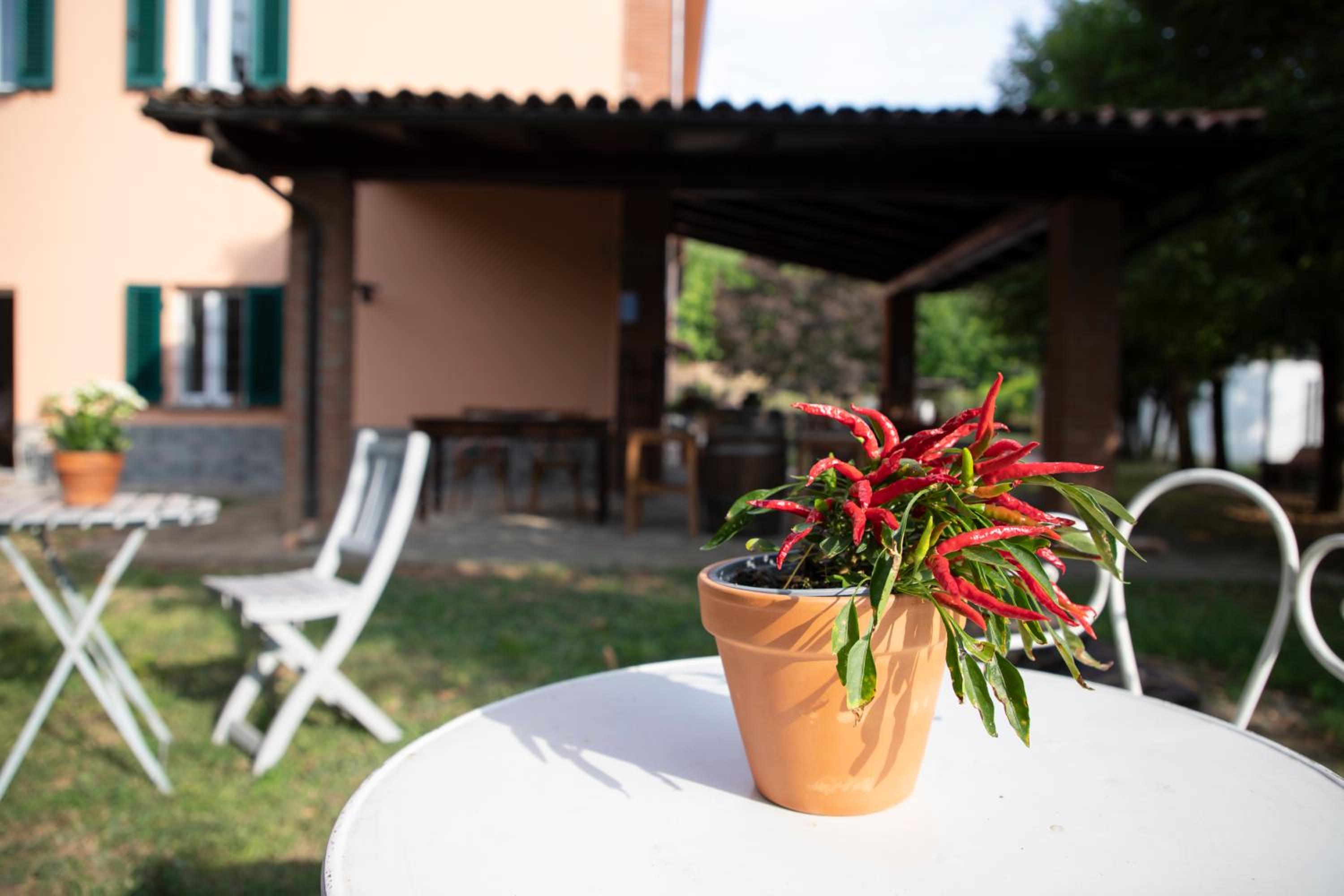 Country Boutique Paradiso