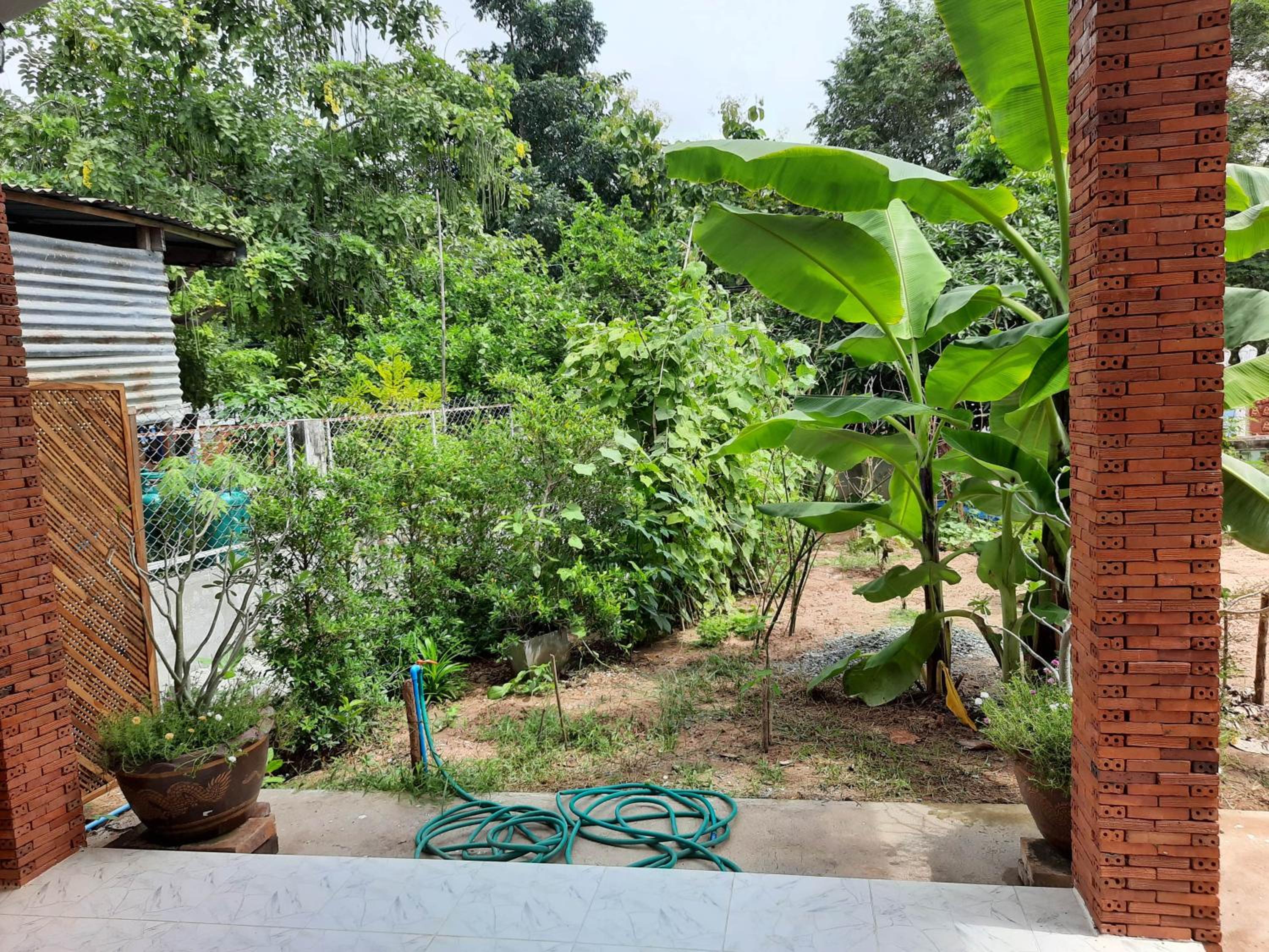 Pottery Street House