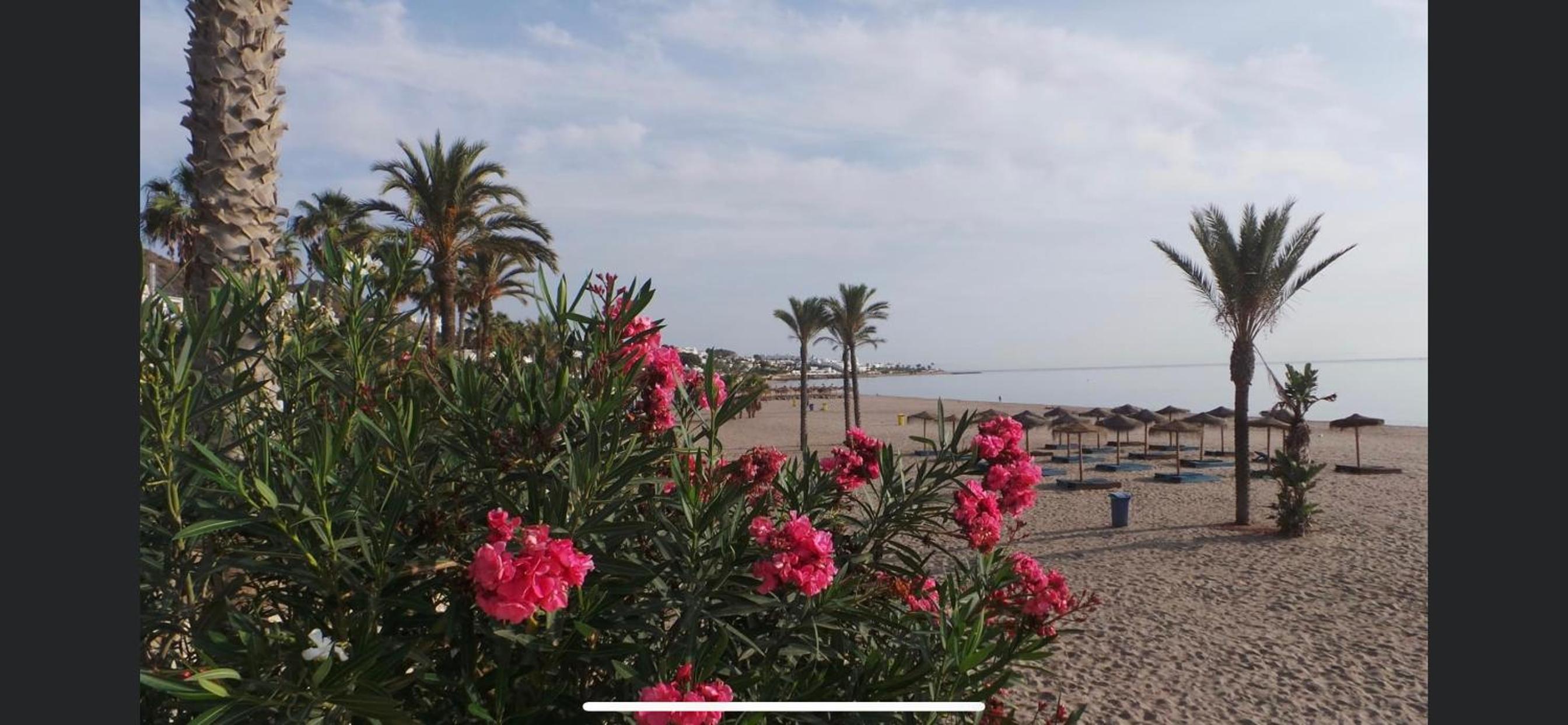 Maison Alriad - Alojamiento familiar tranquilo cerca del mar con jardín, porche y parking privado en el interior de la finca no apto para fiestas