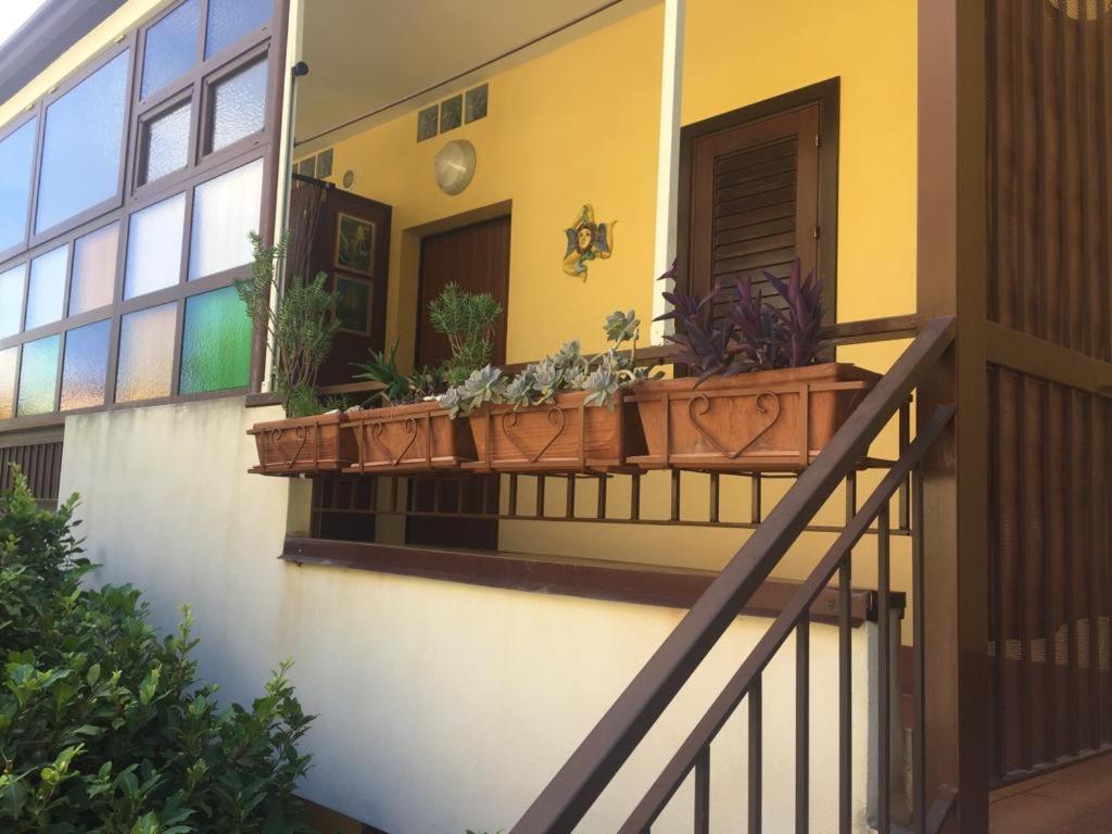 Estella Mare photo 2