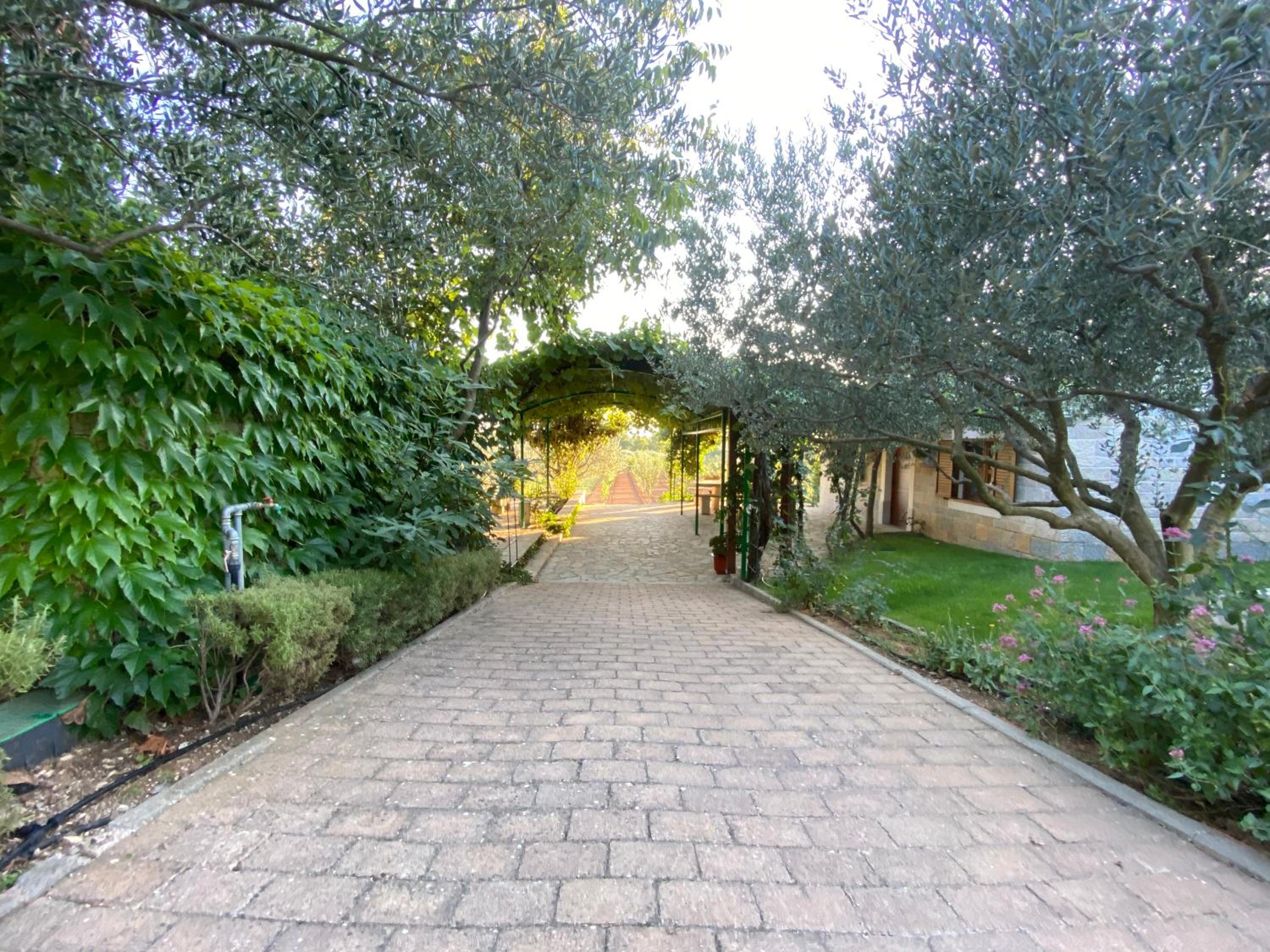 Stone Holiday Homes Stankovci with pool and Mediterranean gardens view 5