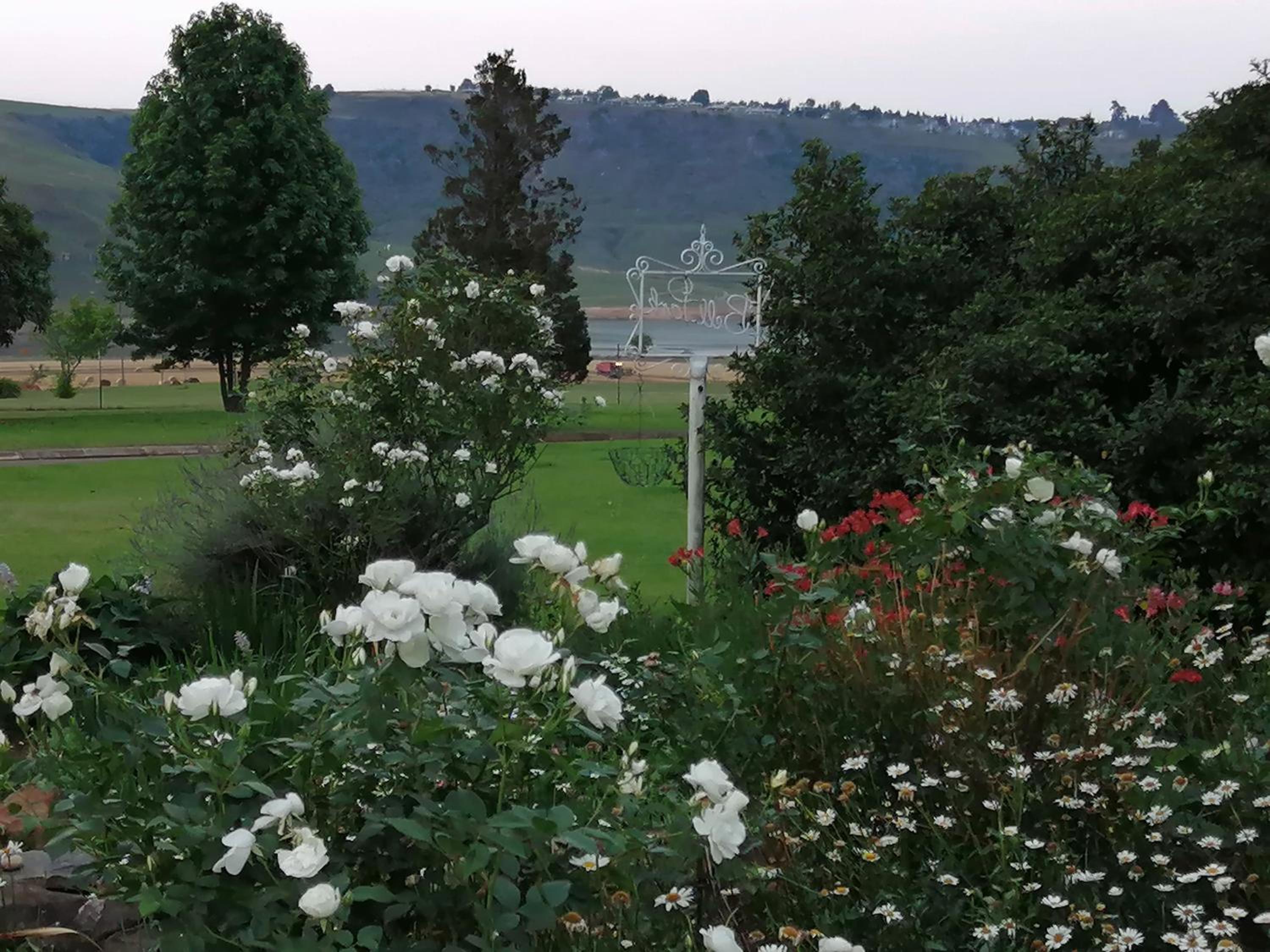 Bell Park Self or Semi Catering view 5