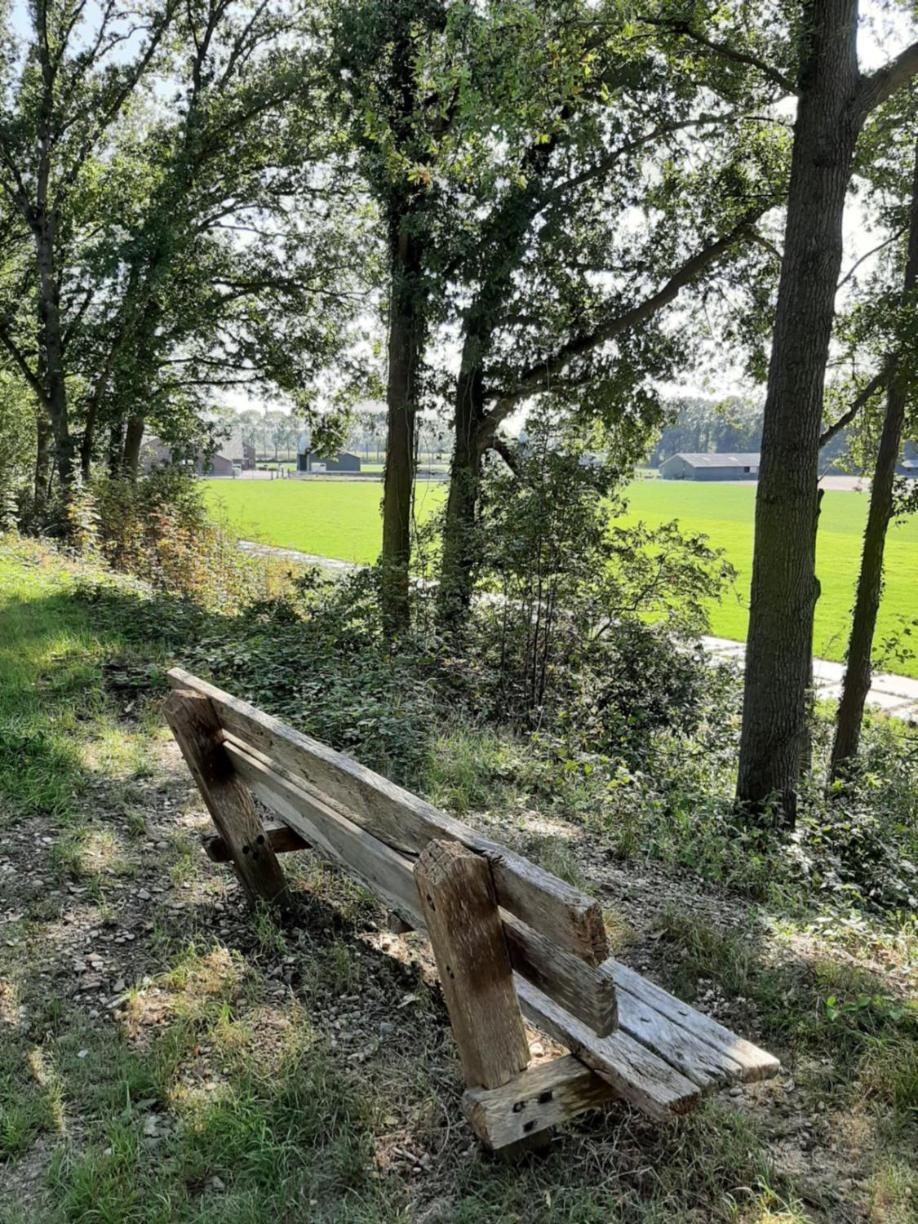 Hoeve de Laan, photo 23