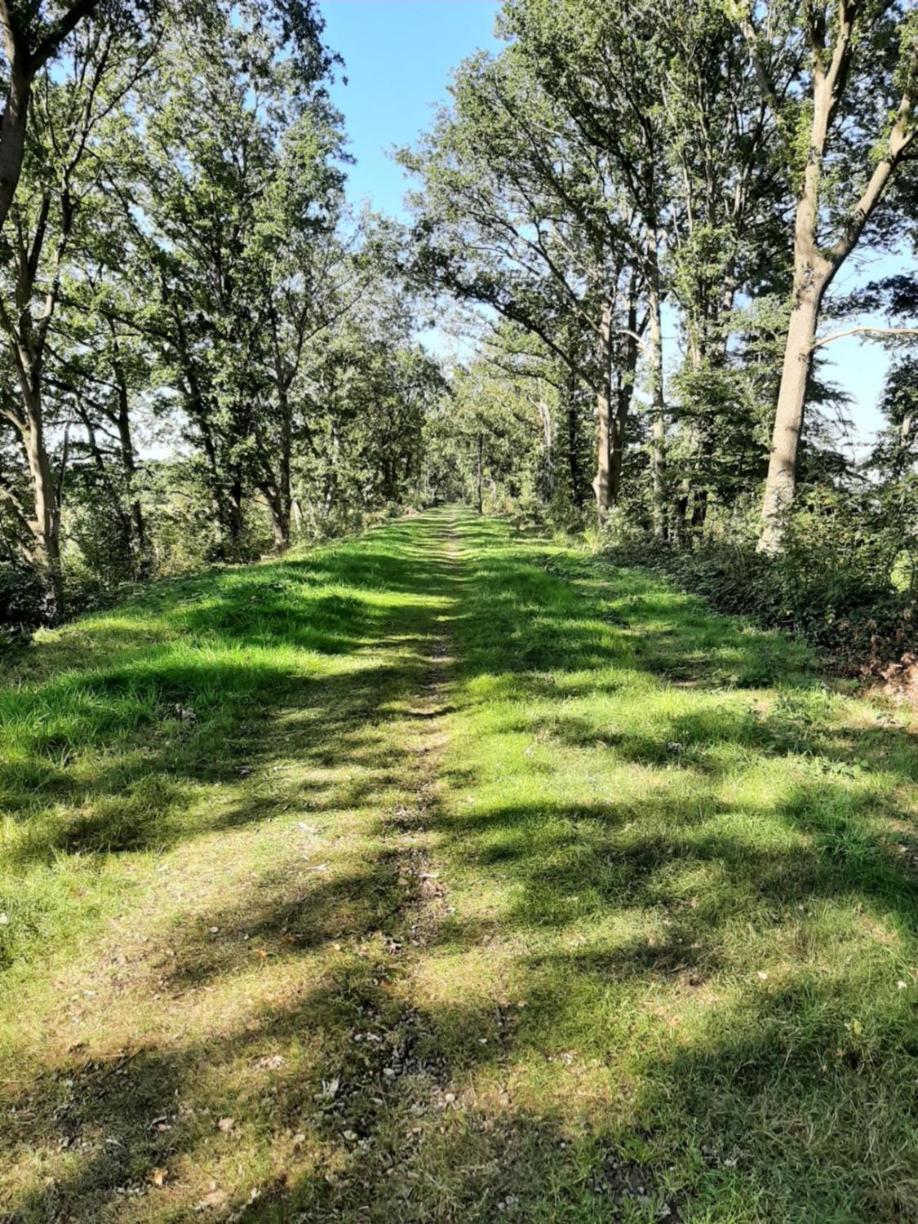 Hoeve de Laan, photo 20