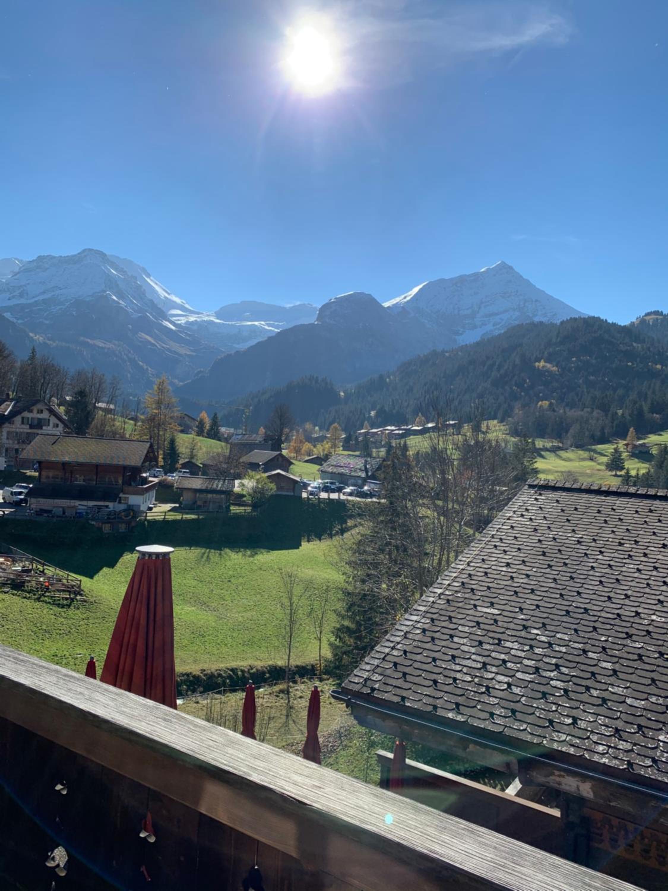 Hotel Wildhorn