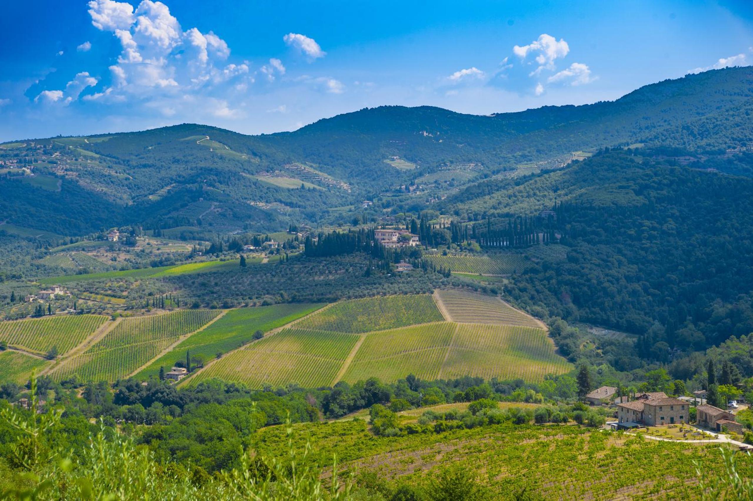 AMORE RENTALS - Villa Bacci view 2