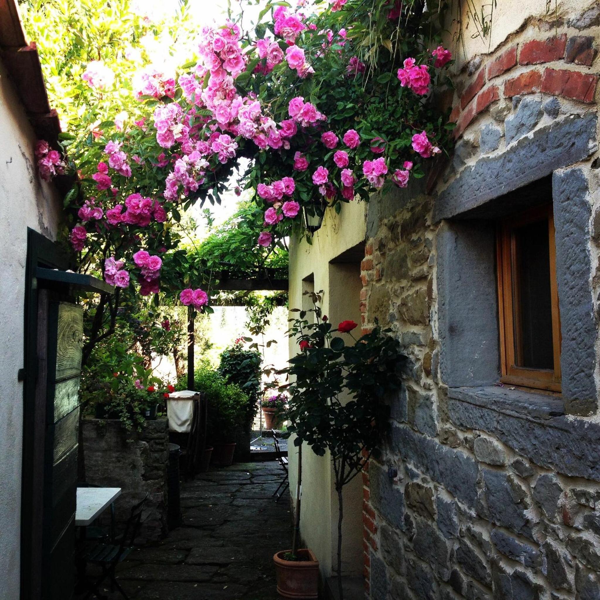 Villa Toppani Del Sodo view 5