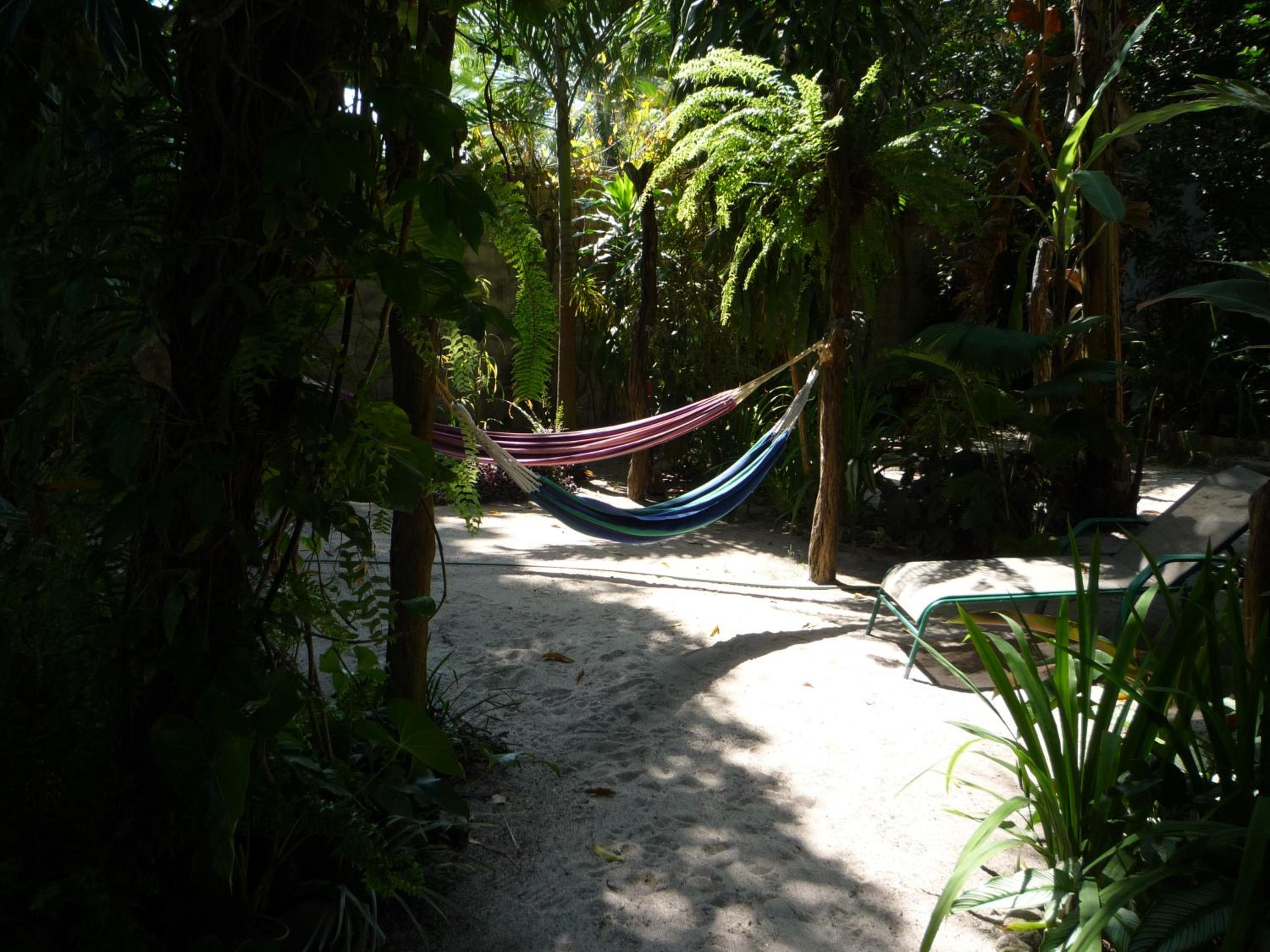 Photo 46