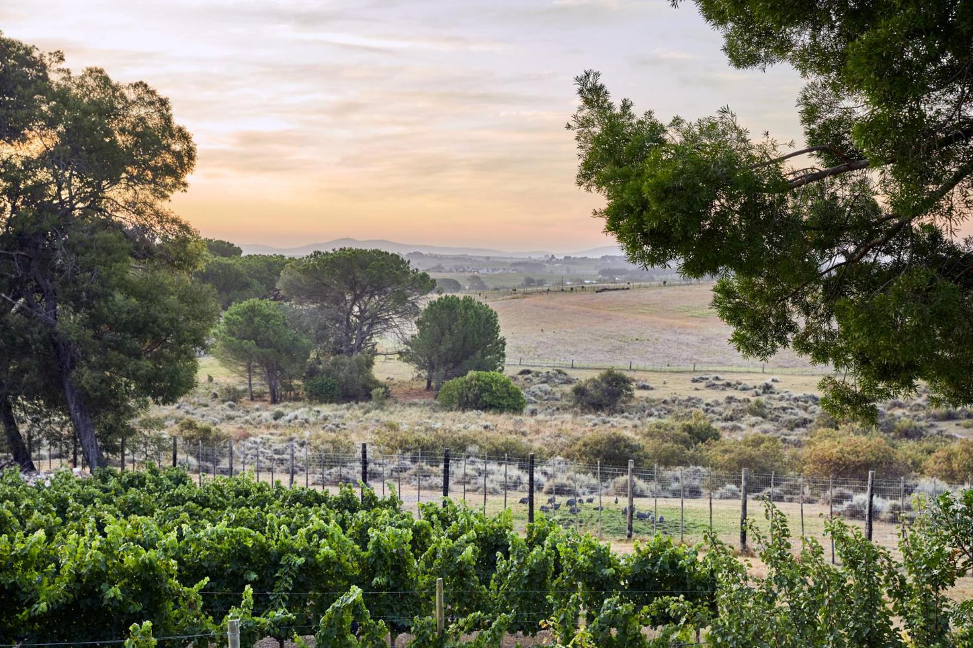 Deux Frères Wine Estate & Luxury Villas
