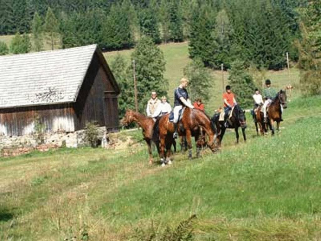 Reiterhof Stöglehner