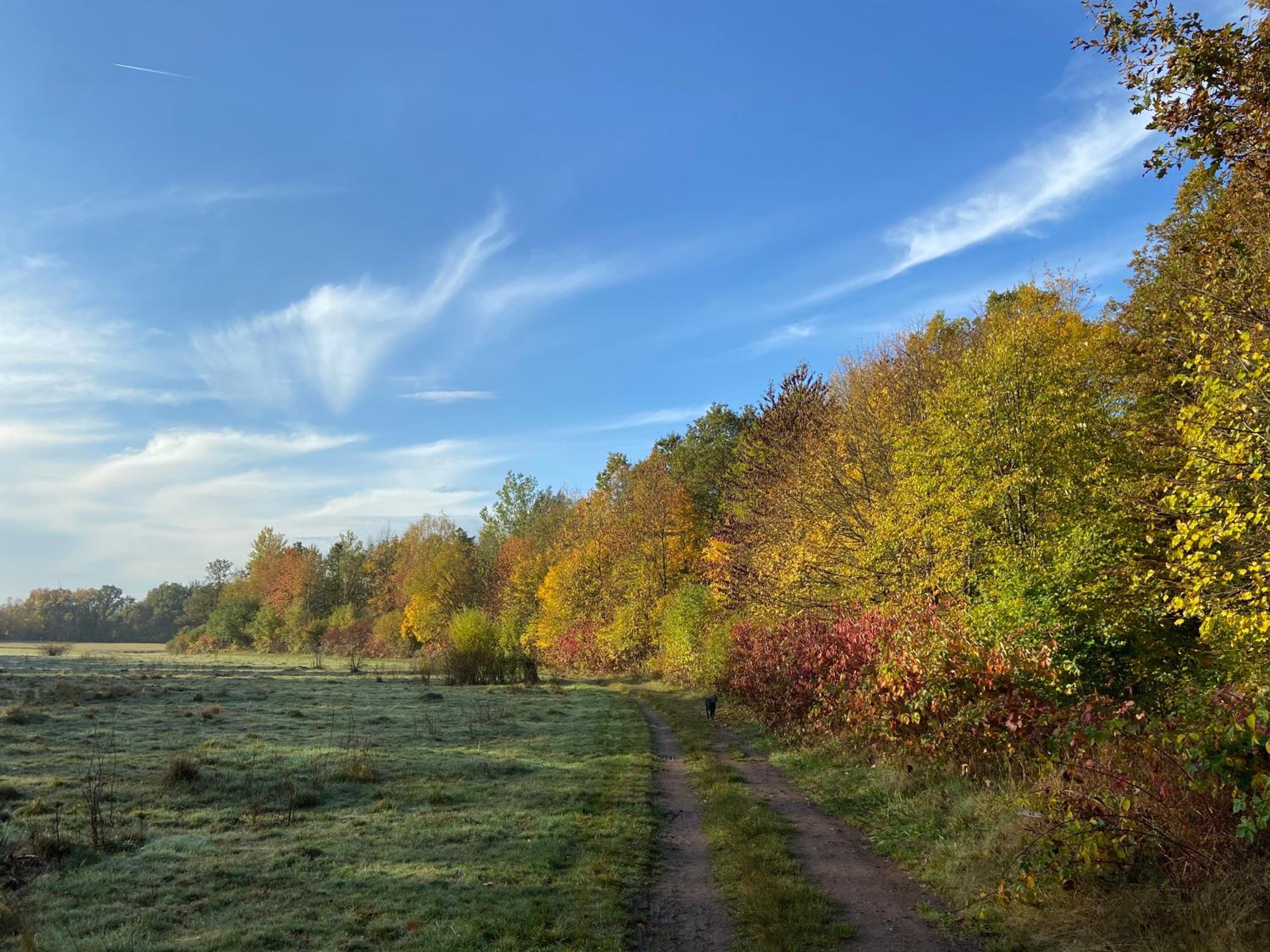 Ferienhaus Kleine Auszeit