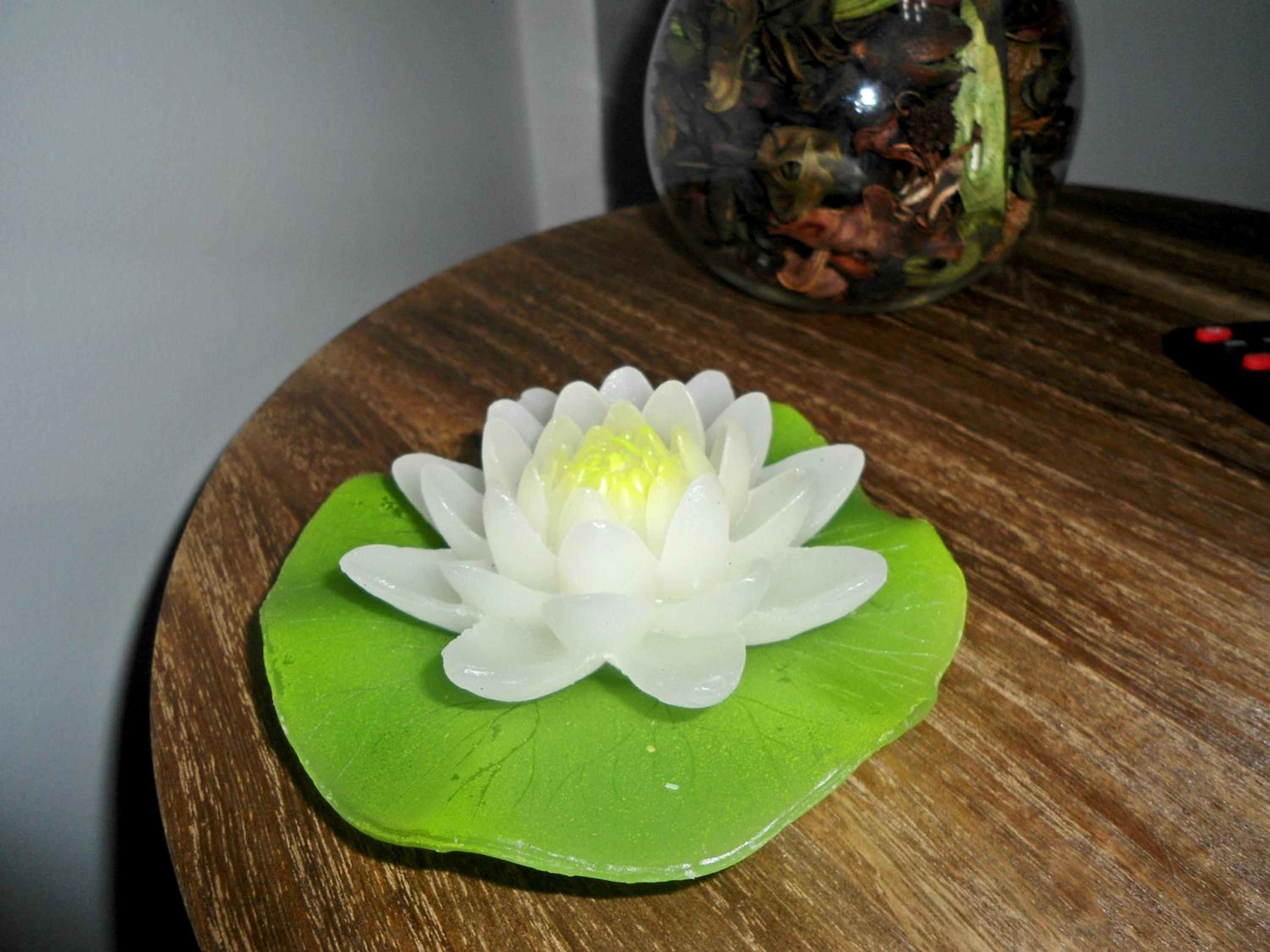 Photo 26