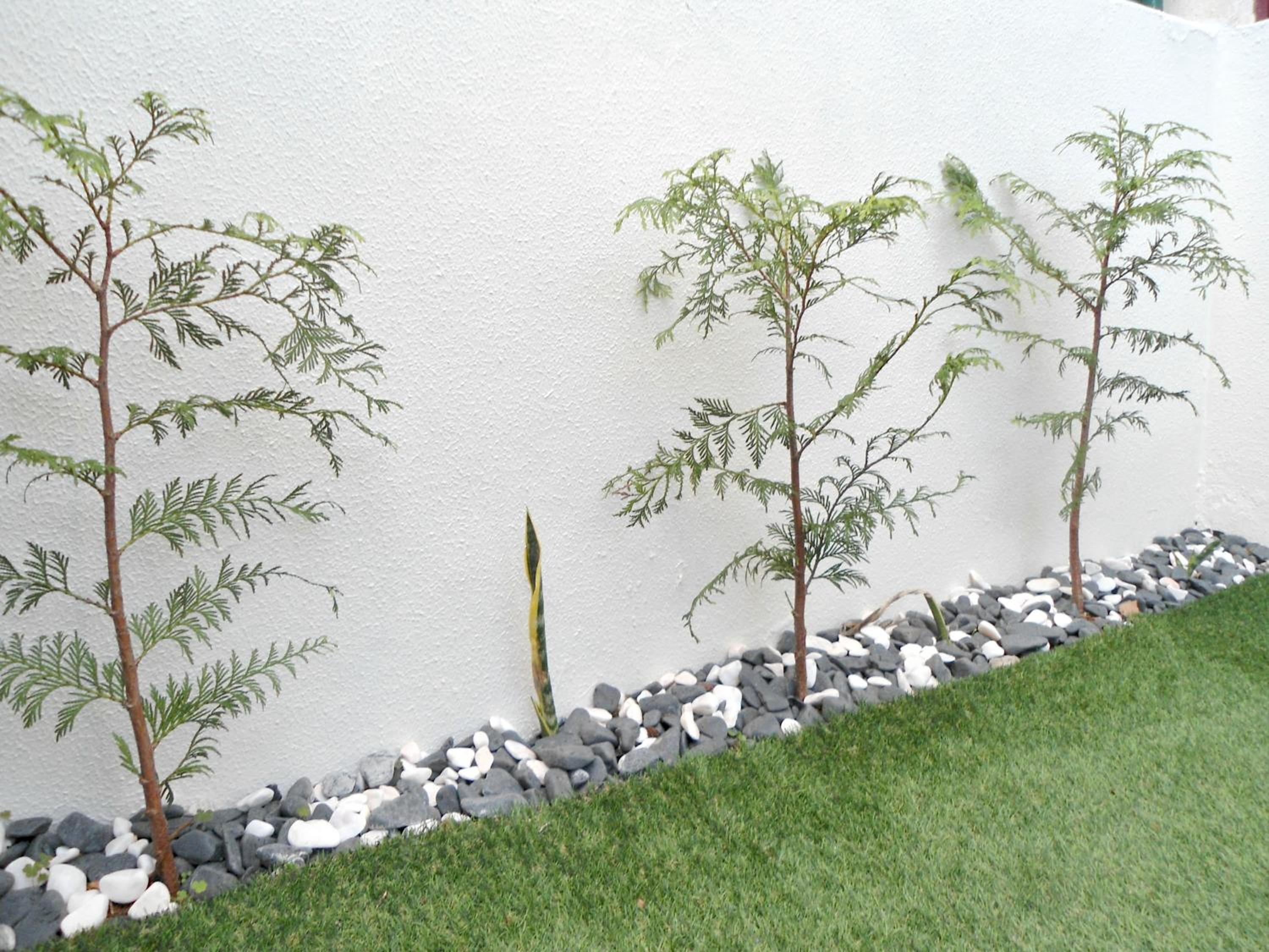 Photo 36