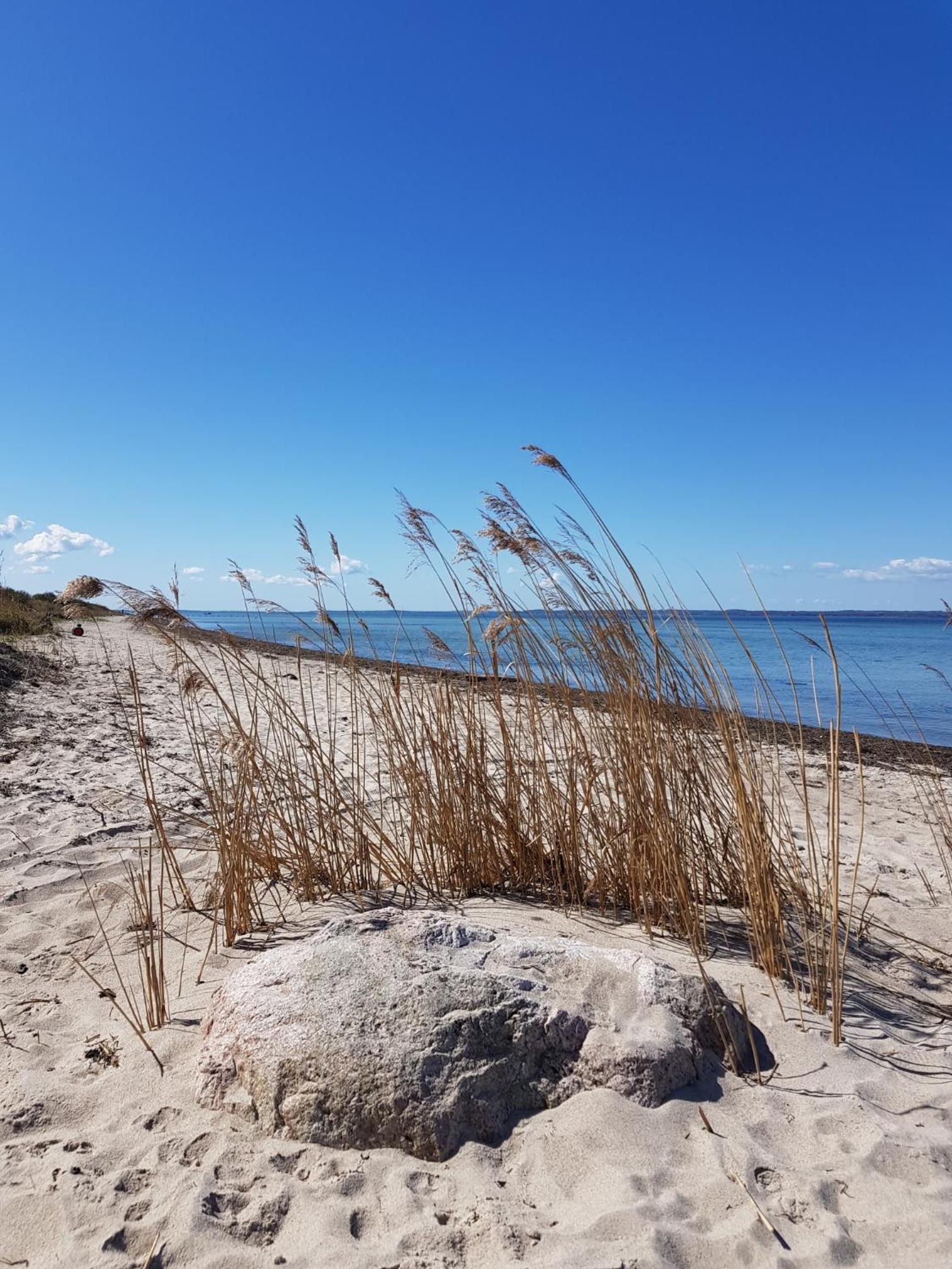 Beachhouse Langeland 20 m to private Beach