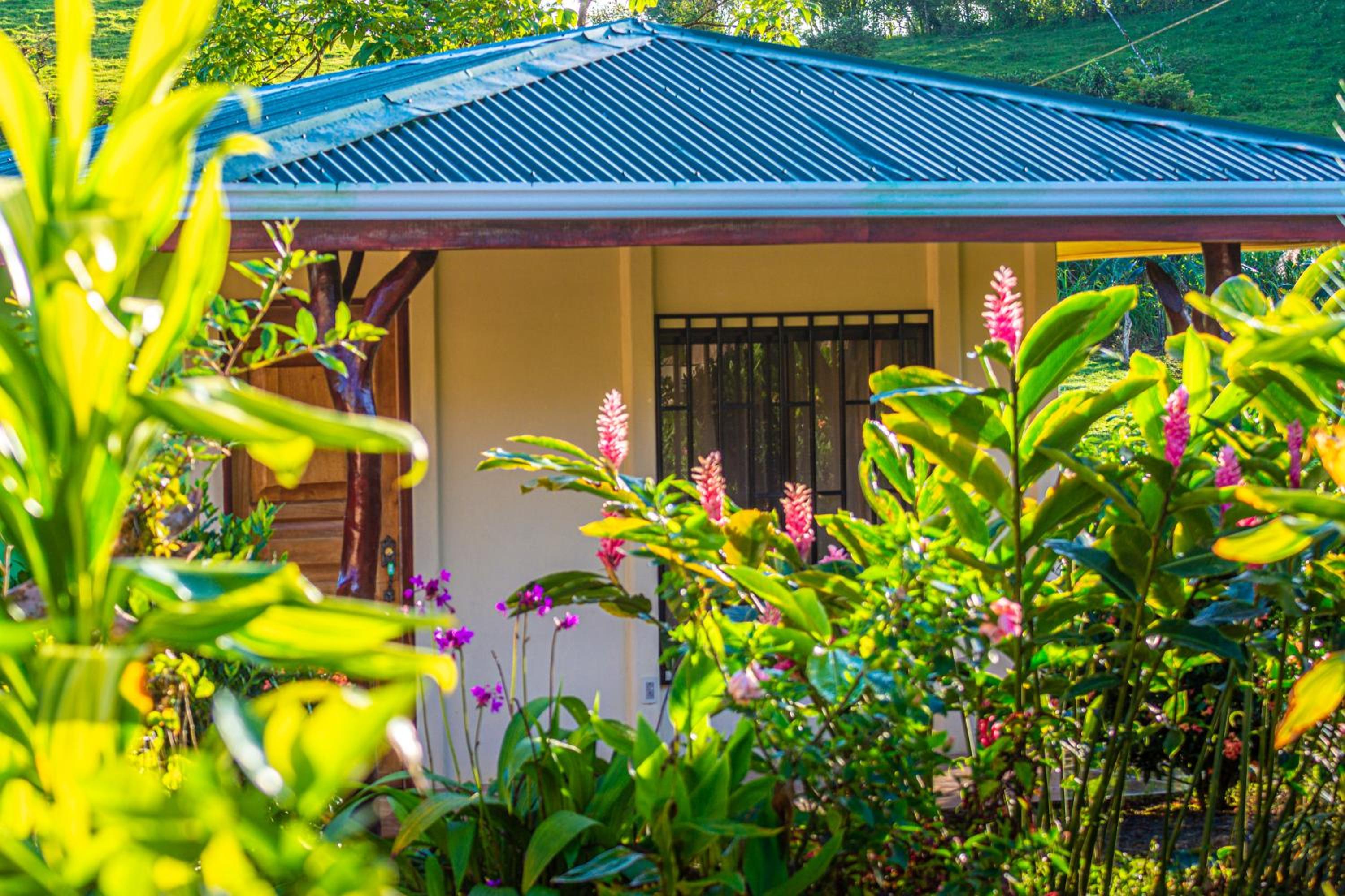 Rio Celeste Springs Blue Lodge