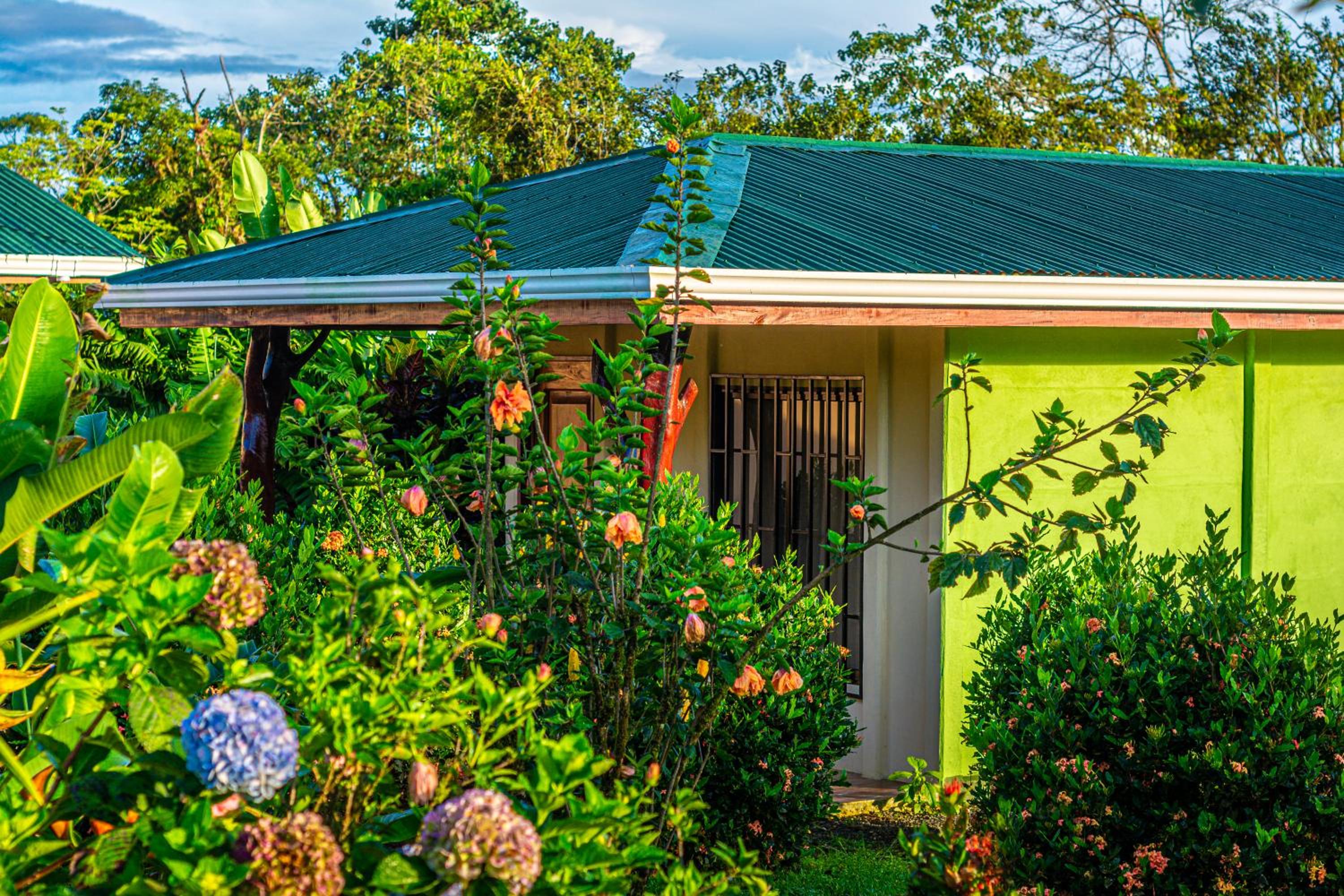 Rio Celeste Springs Blue Lodge