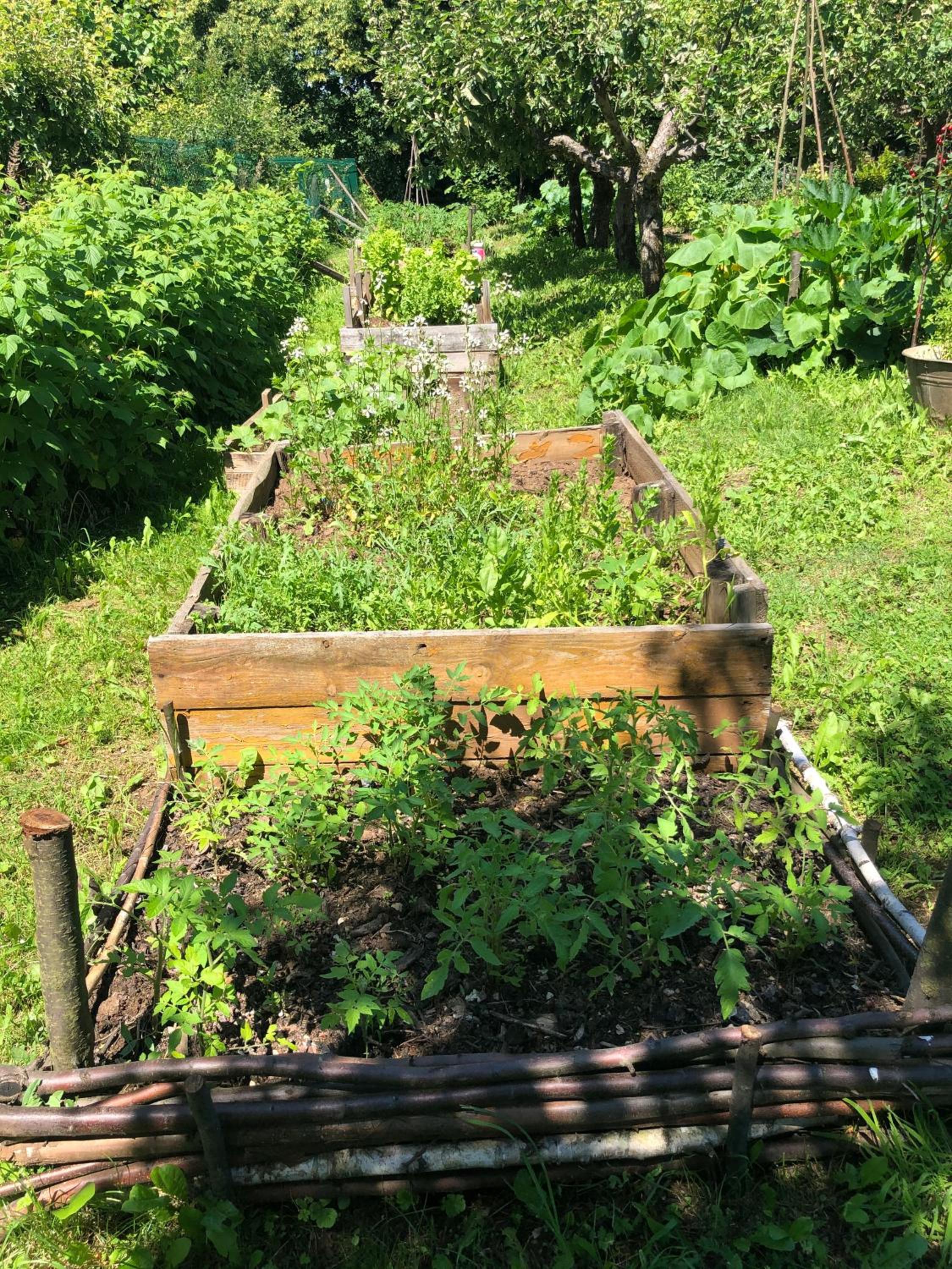 Photo 29
