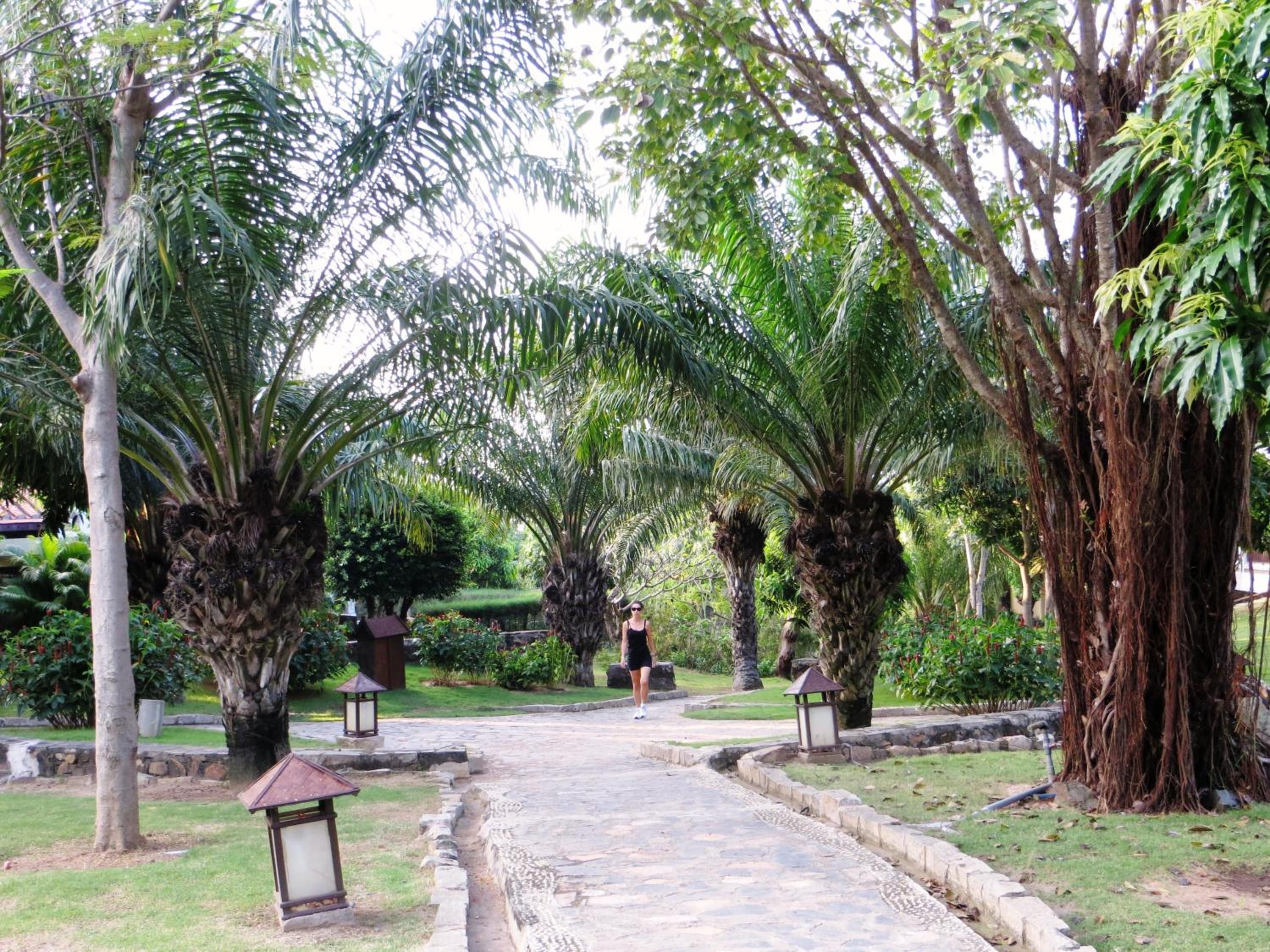 Photo 47